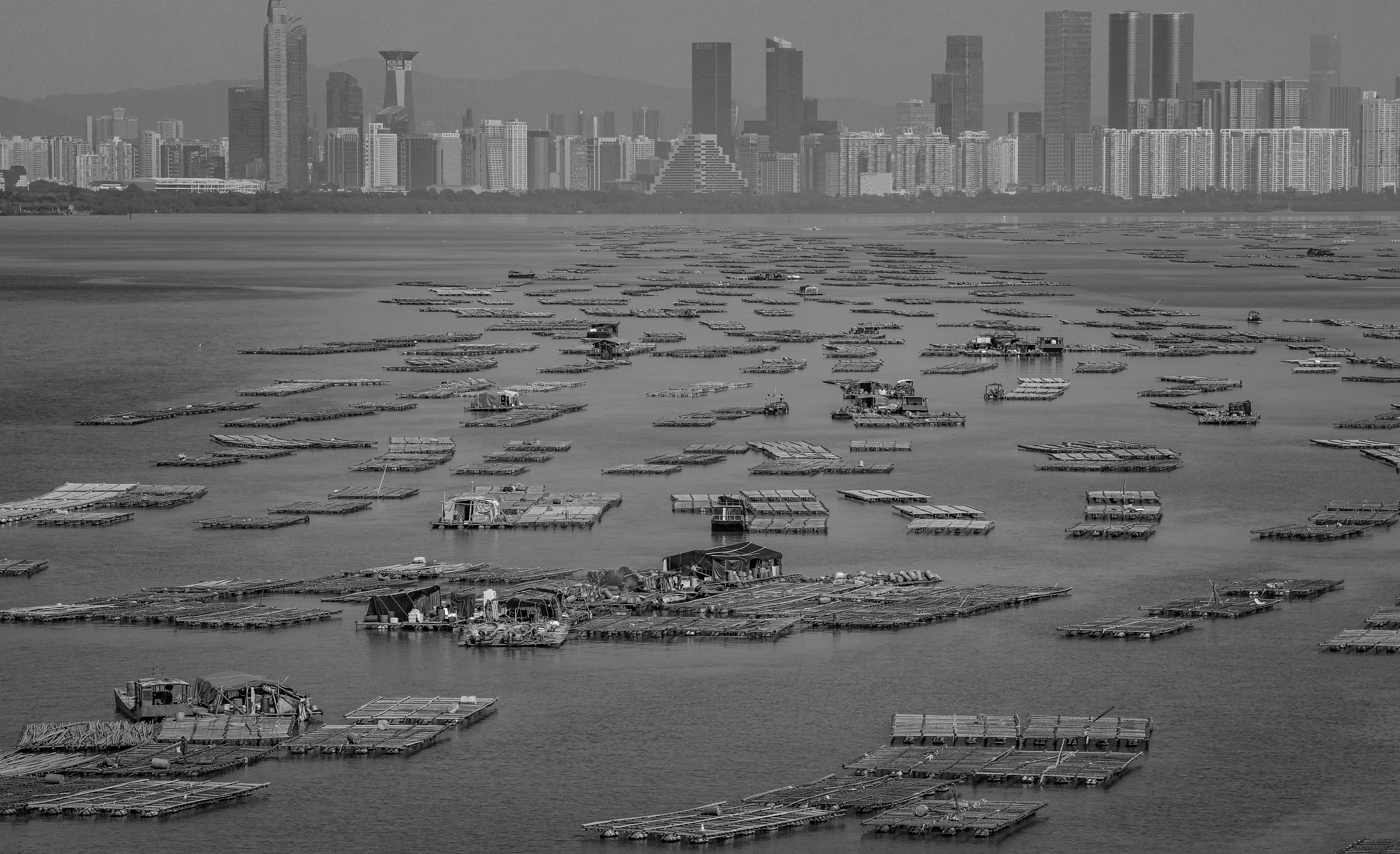 The oyster fishery in Deep Bay as seen in 2023. Back in 1970 this peaceful setting was the scene for the abduction of eight men, three of whom were later murdered. Photo: SCMP