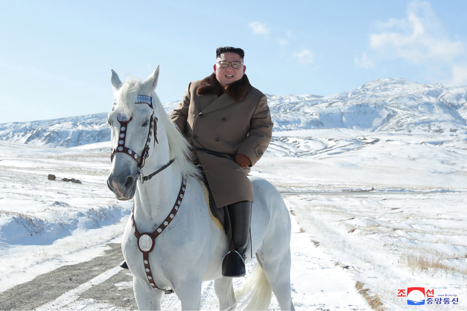 Russia’s Vladimir Putin reportedly gifted North Korea’s Kim Jong-un 24 purebred horses in the latest show of animal diplomacy. Photo: KCNA/dpa