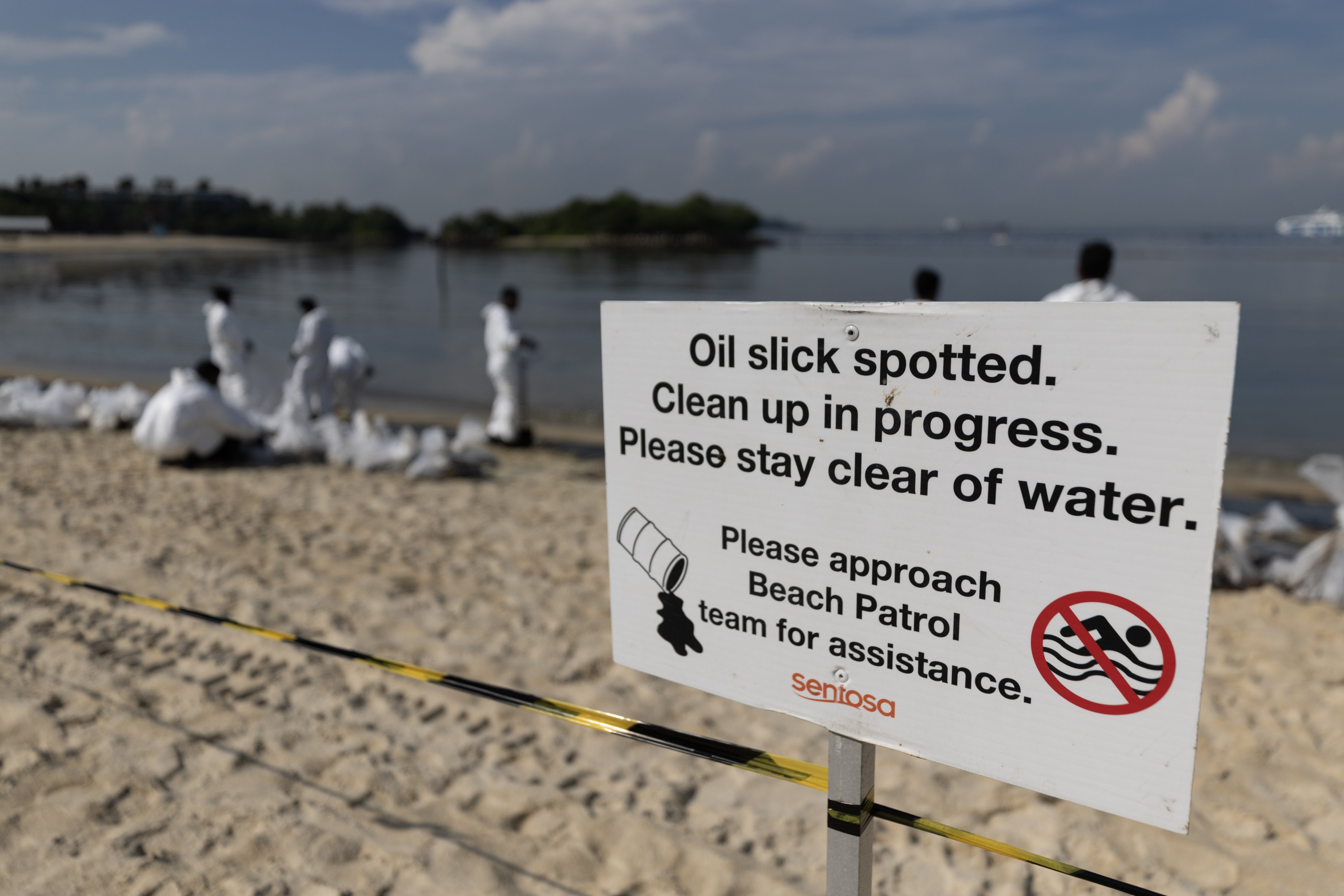 The clean-up operation, involving 800 personnel and 2,300 volunteers, removed 3,750 tonnes of debris. Photo: EPA-EFE

