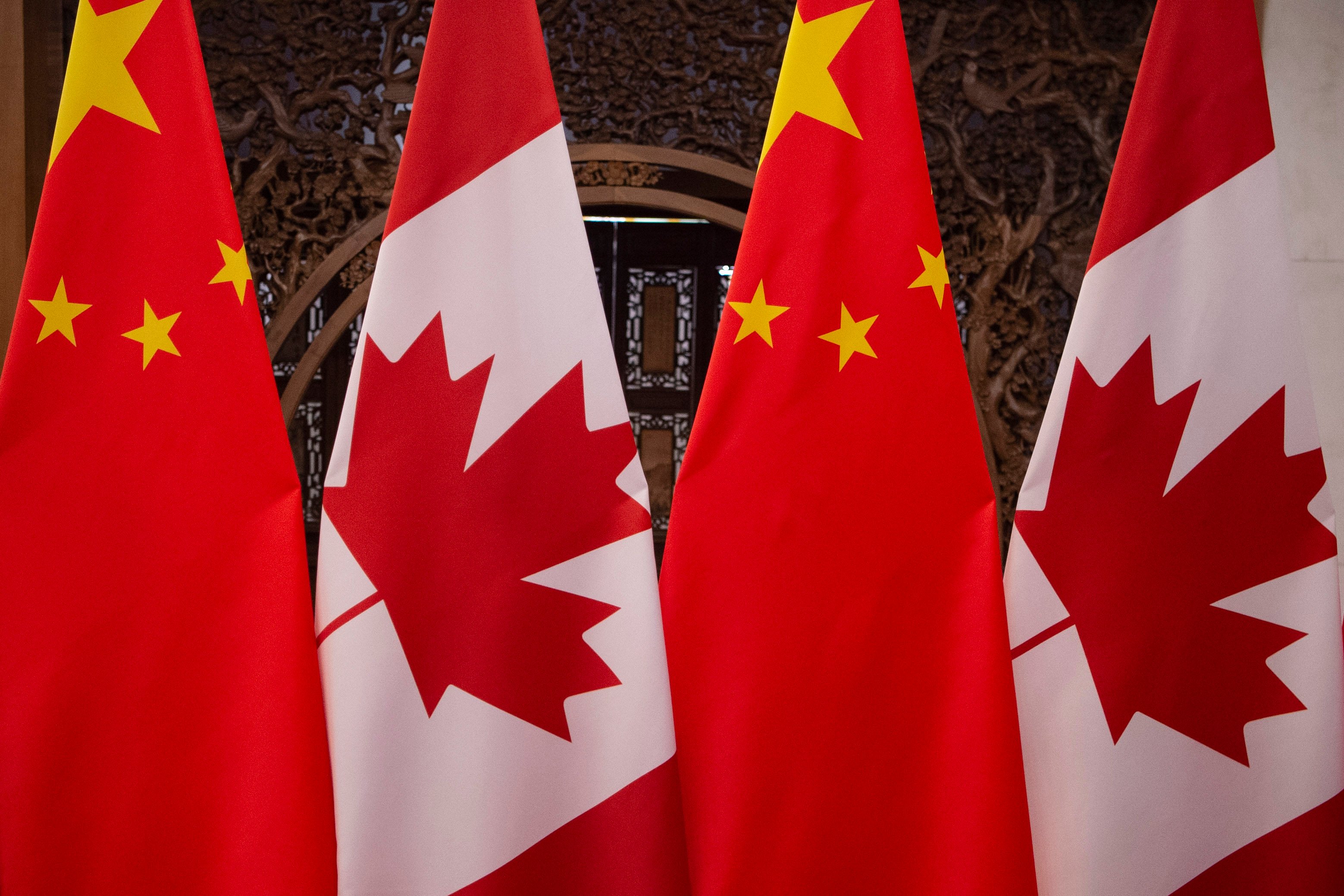 China has launched an anti-dumping investigation into Canadian rapeseed imports, just days after the latter country announced it would tax Chinese electric vehicle imports by 100 per cent. Photo: AFP