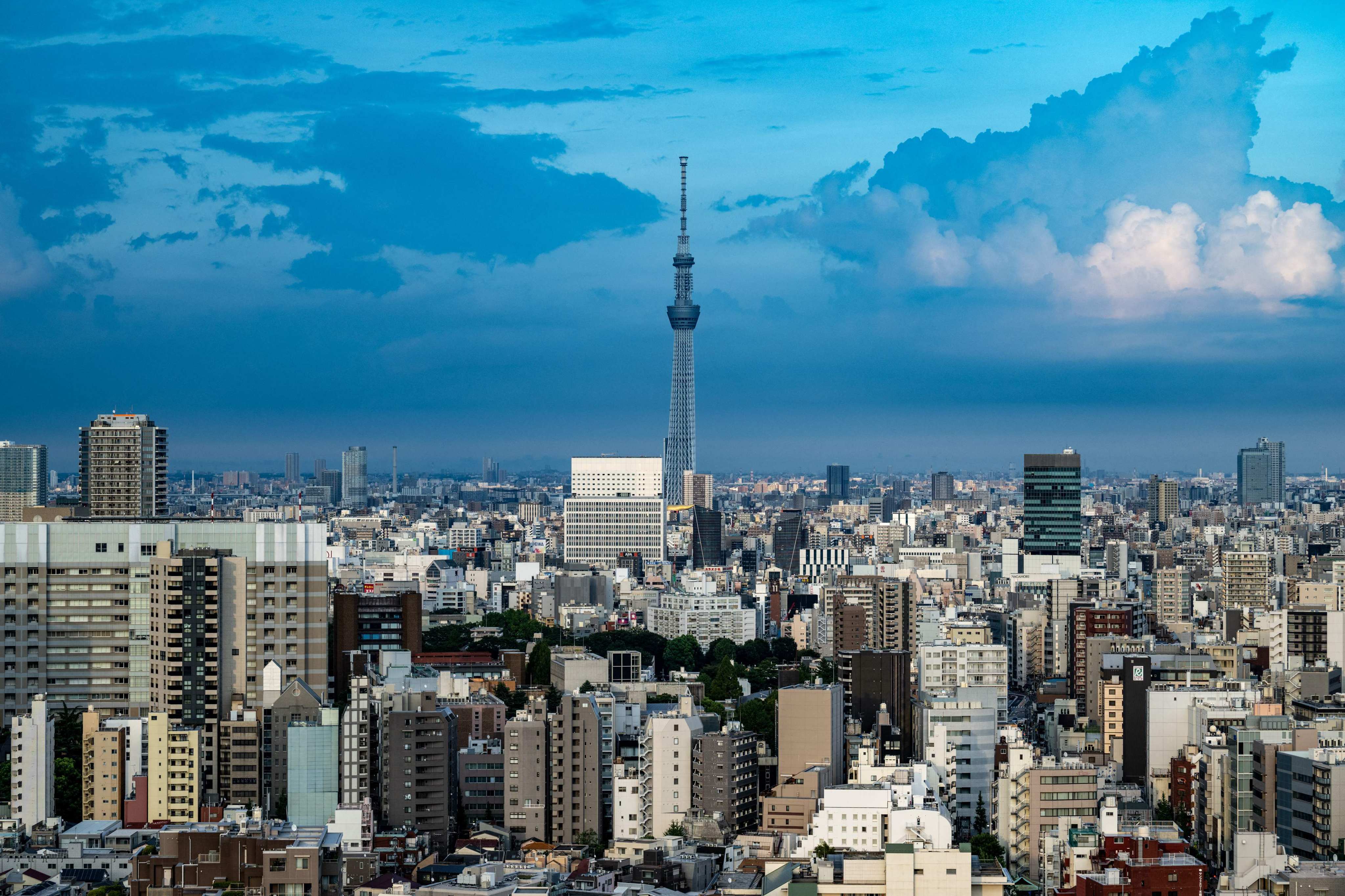 A view of Tokyo from the Bunkyo Civic Center Observation Deck on August 14, 2024. Photo: AFP