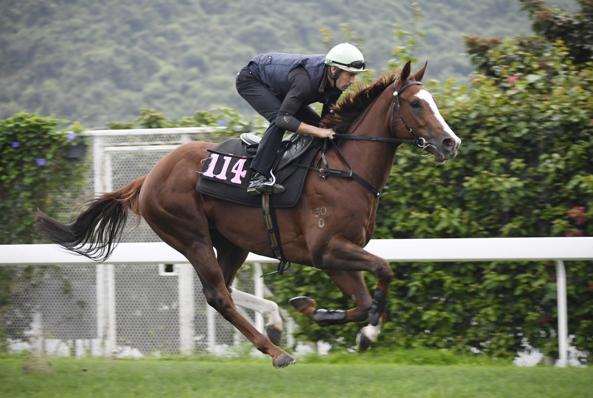 Geneva gallops on the Sha Tin turf under Hugh Bowman.