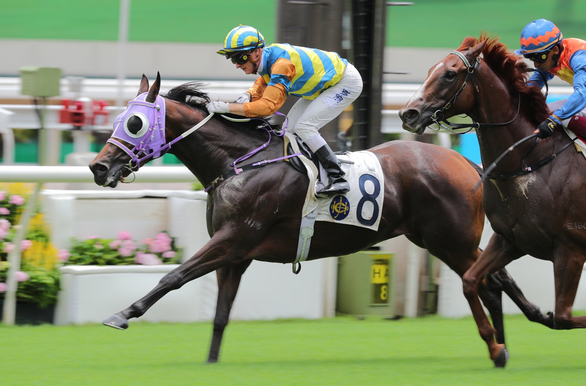 Go Go Go wins the first race of the season for Zac Purton.