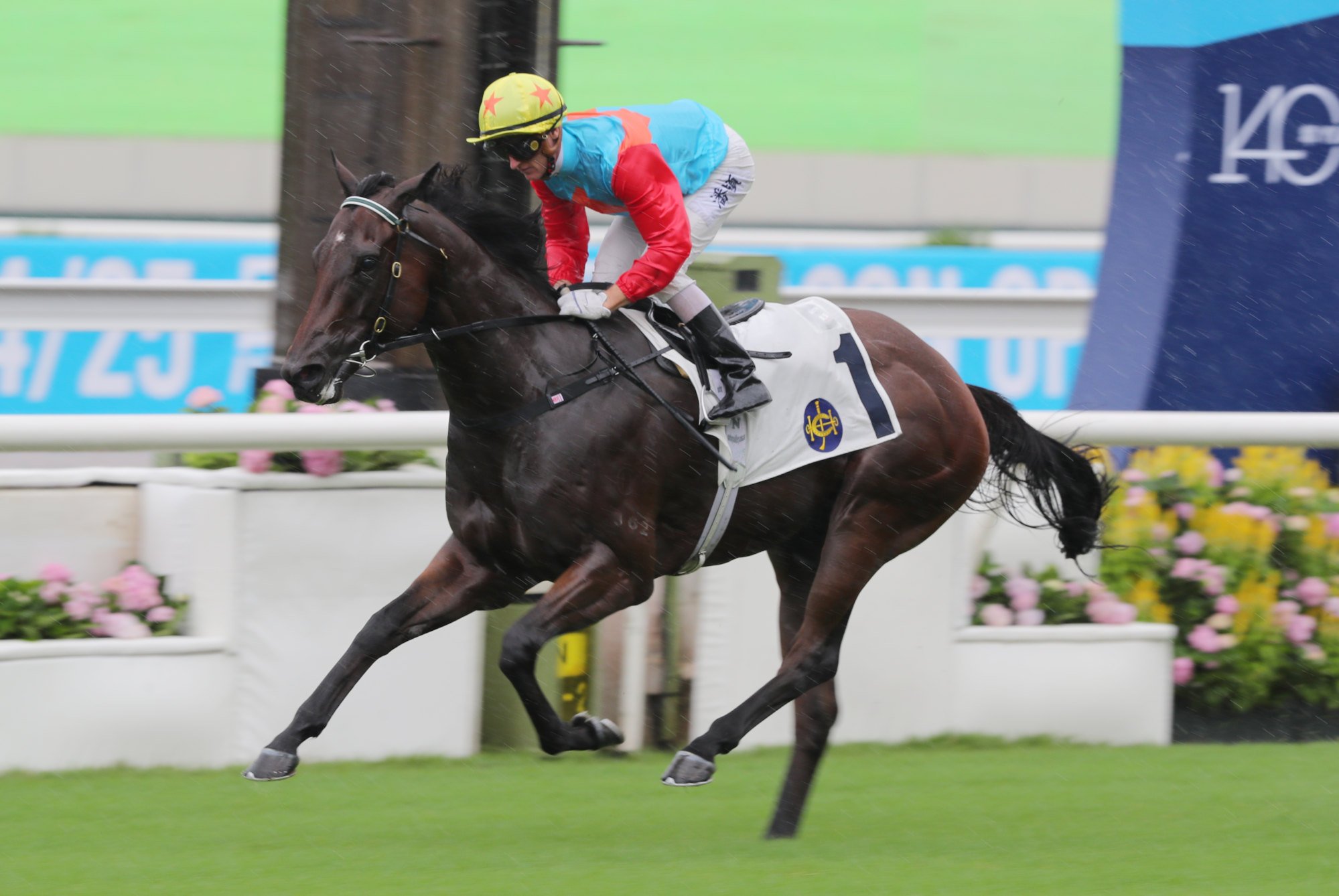 Ka Ying Rising will head to October’s Group Two Premier Bowl (1,200m).