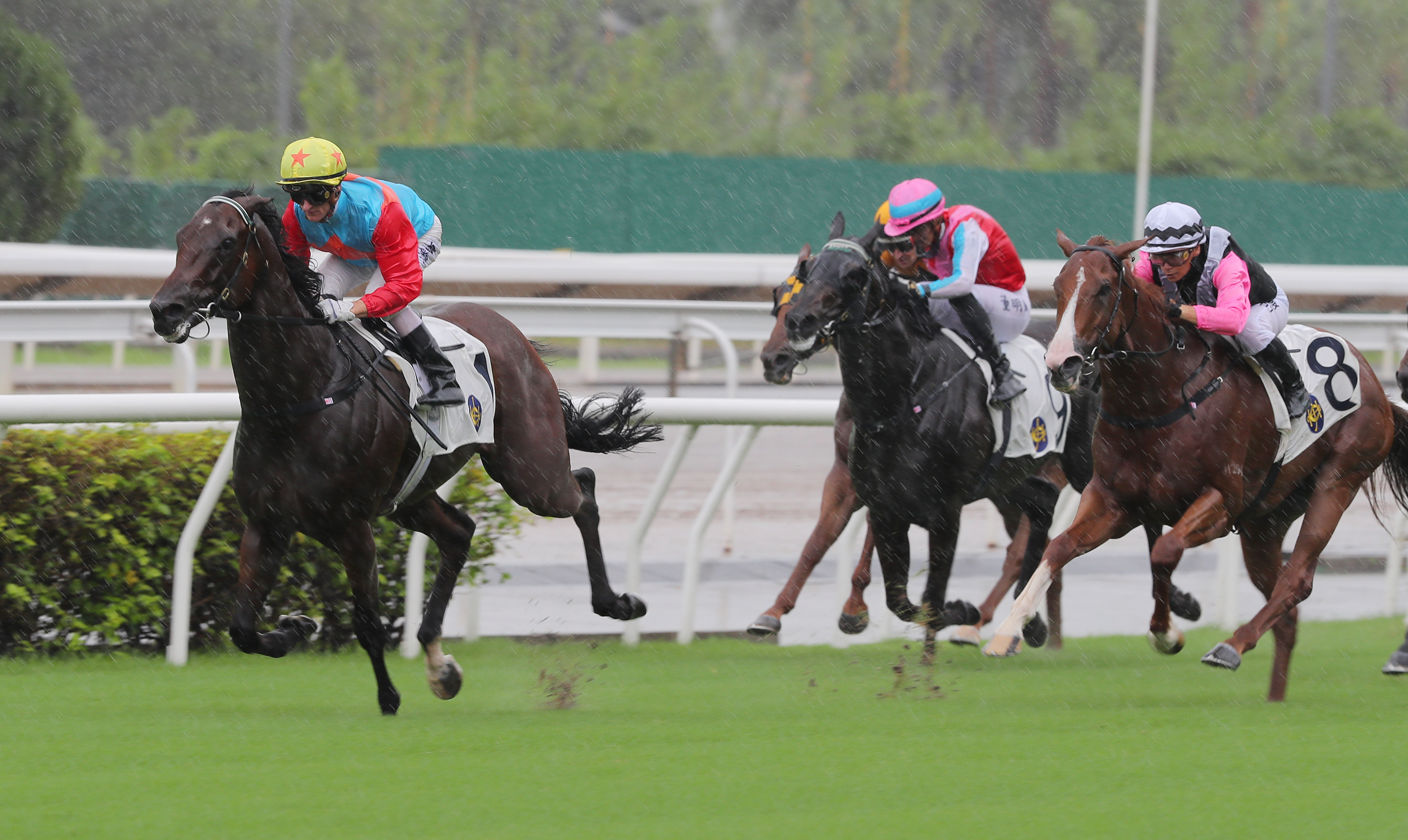 Ka Ying Rising (left) brushes aside his rivals in Sunday’s Chief Executive’s Cup at Sha Tin. Photo: Kenneth Chan