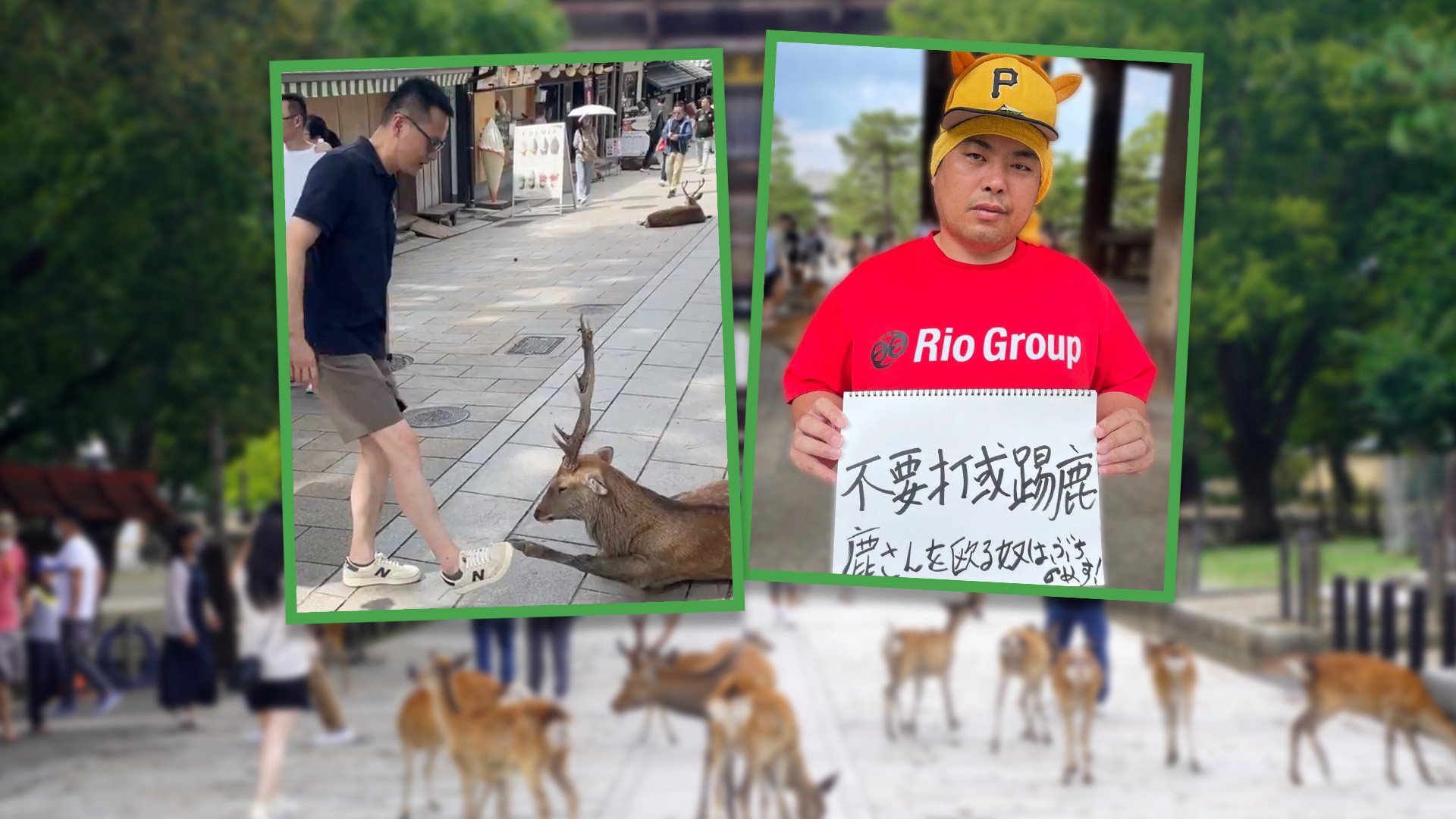 A Japanese park volunteer reprimands a Chinese tourist for teasing a wild deer with his foot, despite the tourist’s apology. Photo: SCMP composite/Shutterstock/X.com
