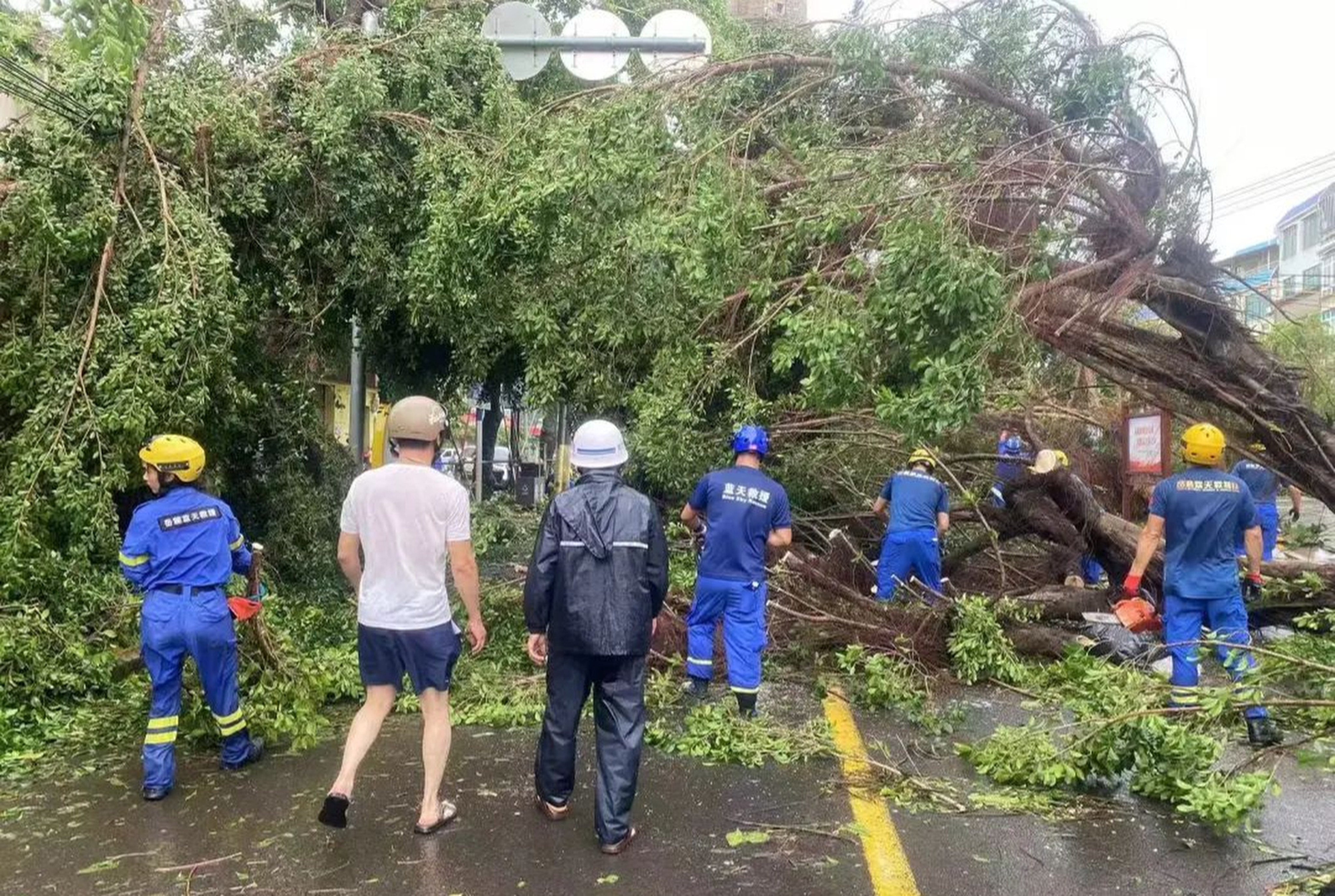 Rescuers in Zhanjiang  in Guangdong province work to clean up and restore electricity and communications after serious damage from Super Typhoon Yagi. Photo: Weibo/ 湛江发布