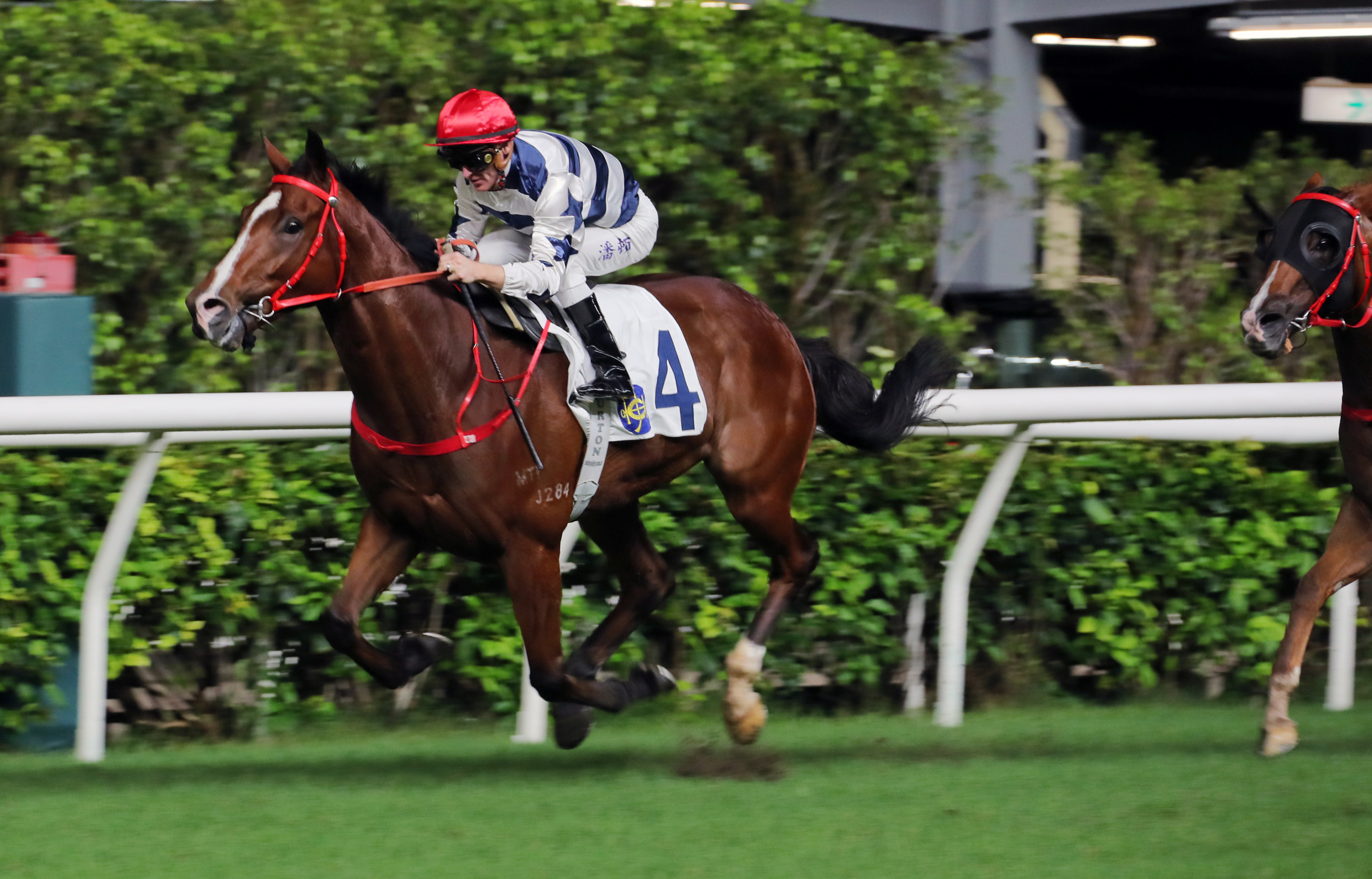 Packing Power bolts in on debut under Zac Purton at Happy Valley. Photos: Kenneth Chan