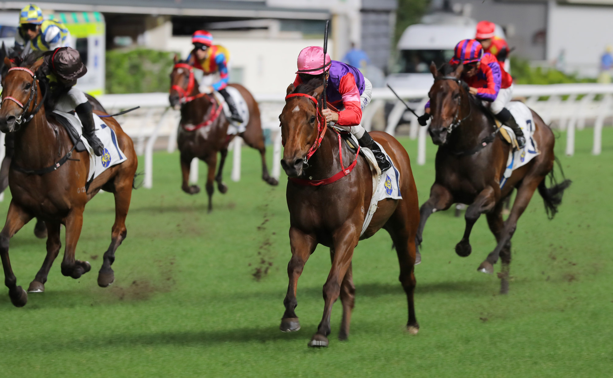 Comet Splendido storms home to win at the Valley for Zac Purton.