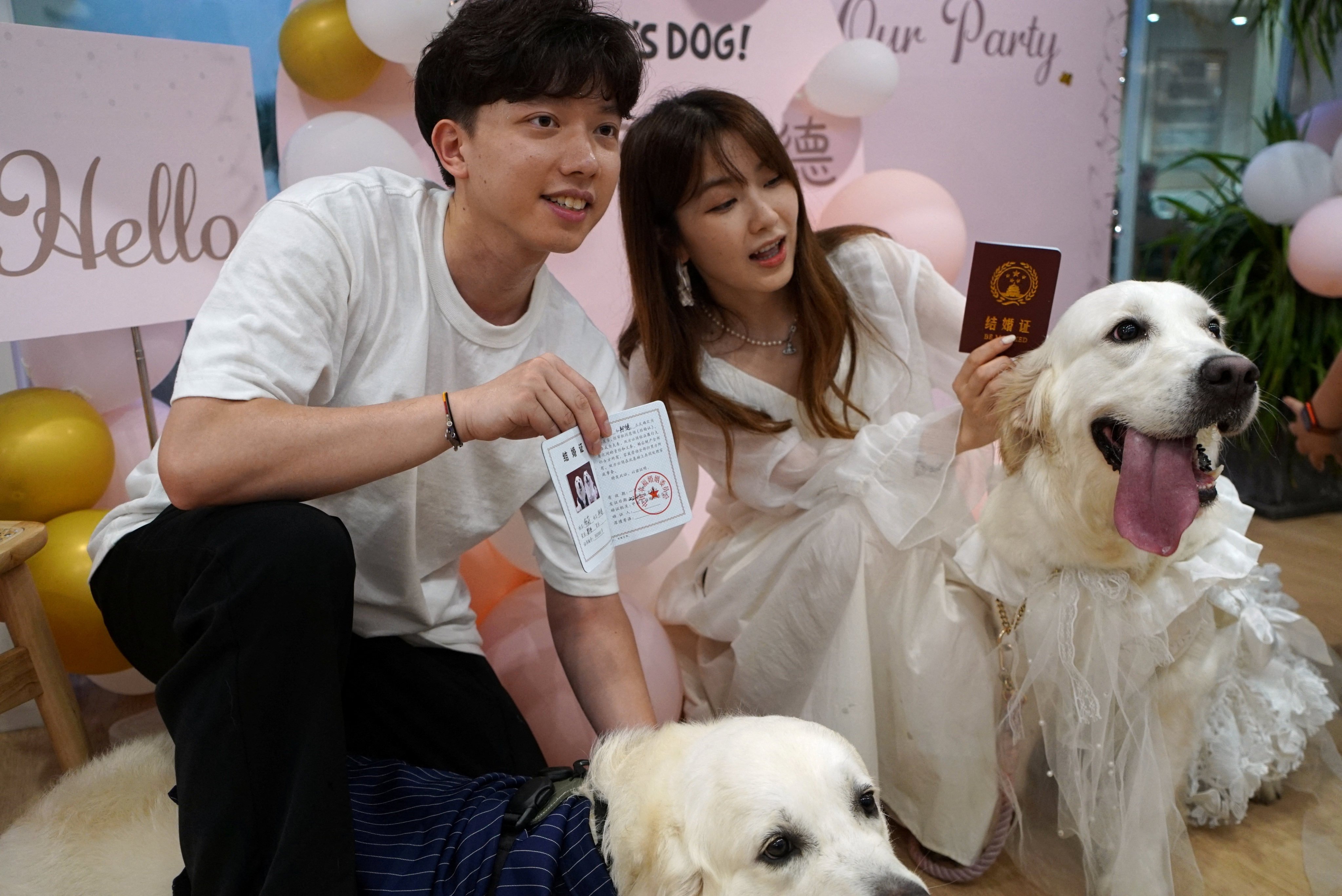 Dog owners Rye Ling and Gigi Chen pose with newly married golden retrievers Bree and Bond while holding their mock marriage certificates. Photo: Reuters