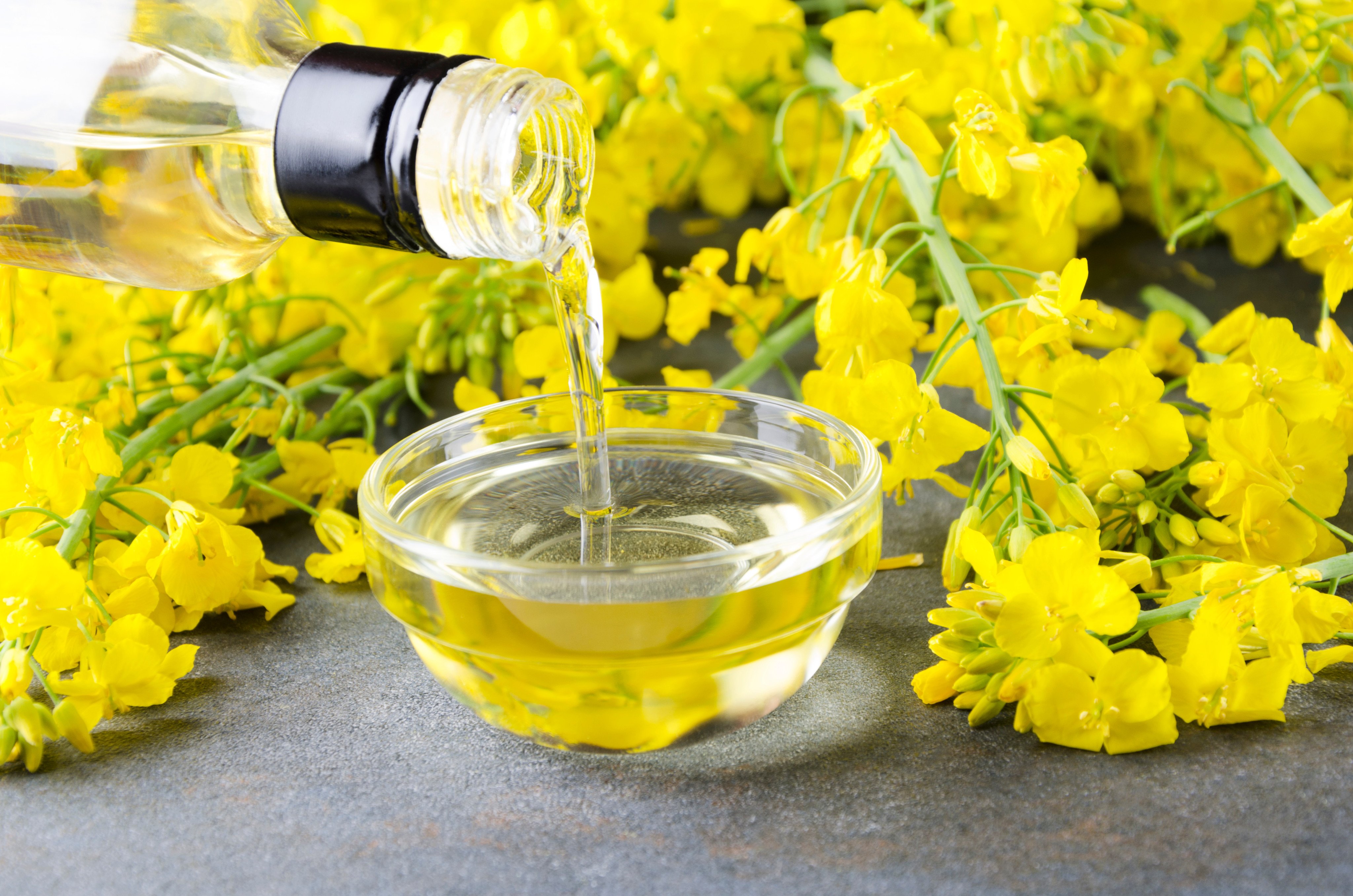 Canola oil, a common seed oil used for cooking. Photo: Shutterstock