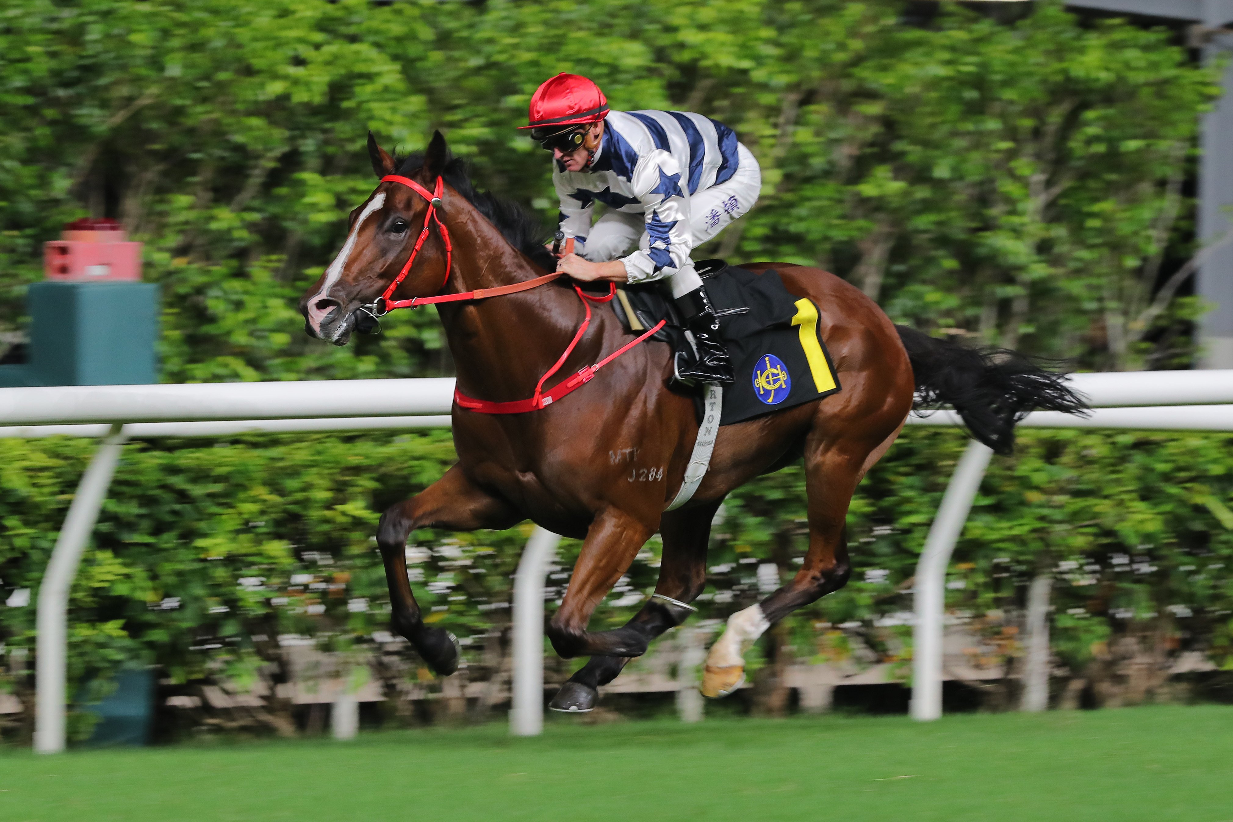 Packing Power cruises home to score at the Valley for Zac Purton. Photos: Kenneth Chan