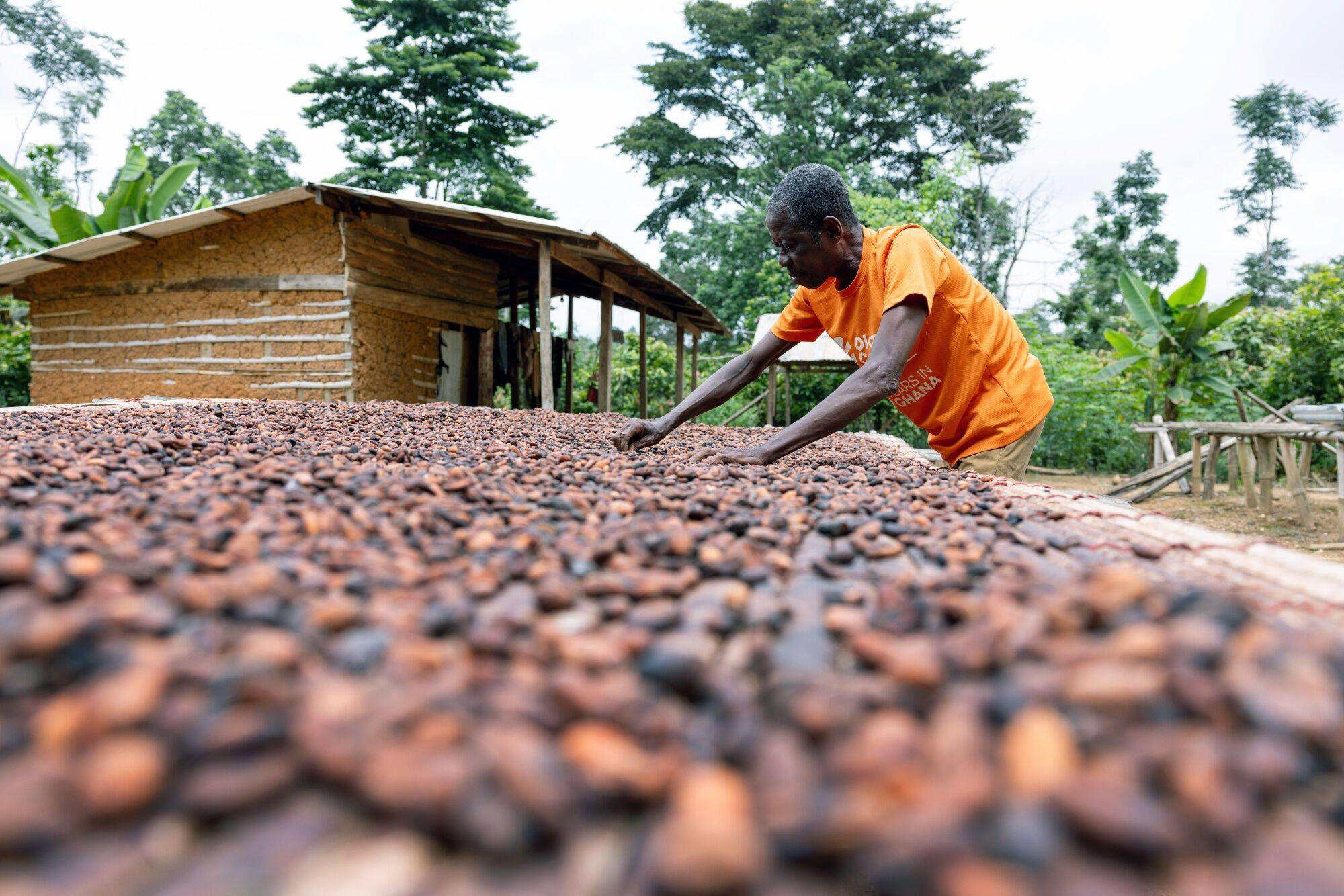 China is shifting its African focus away from the mega infrastructure projects that have dominated the last decade, instead towards agriculture, manufacturing, green energy and critical minerals. Photo: Bloomberg