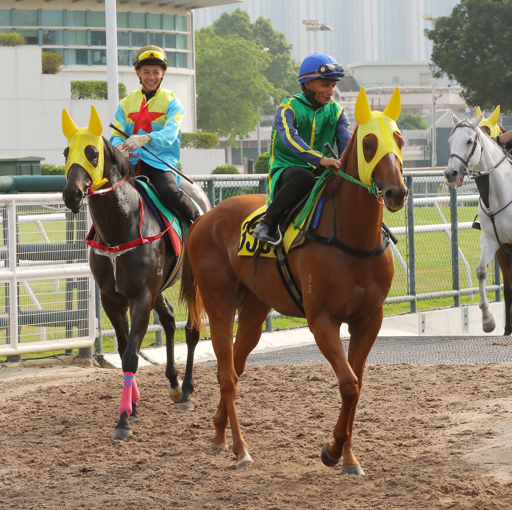 Mugen (right) and Victor The Winner head out to trial on Thursday morning.