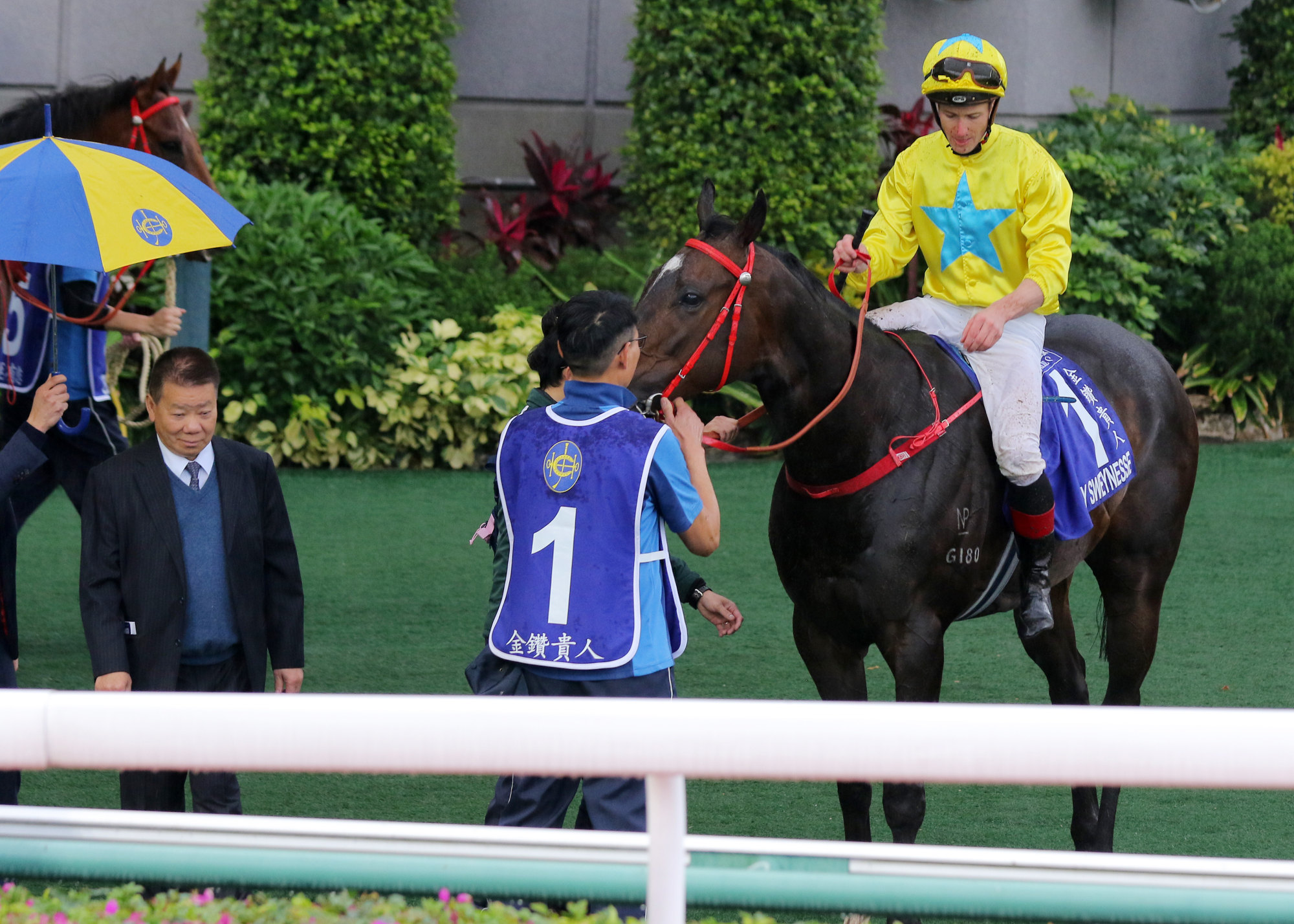 Lucky Sweynesse is in doubt for December’s Hong Kong Sprint. Lucky Sweynesse is in doubt for December’s Hong Kong Sprint.