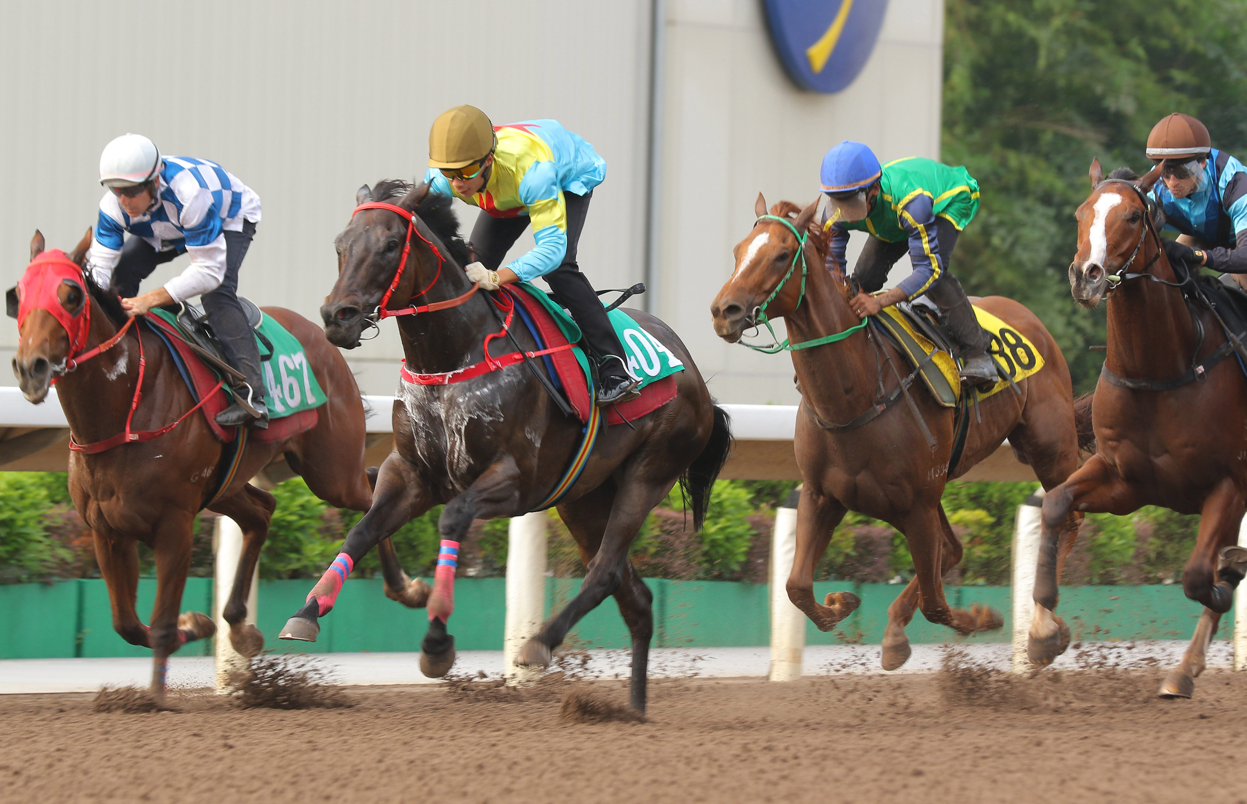 Victor The Winner takes out a 1,200m dirt trial at Sha Tin on Thursday morning. Photos: Kenneth Chan