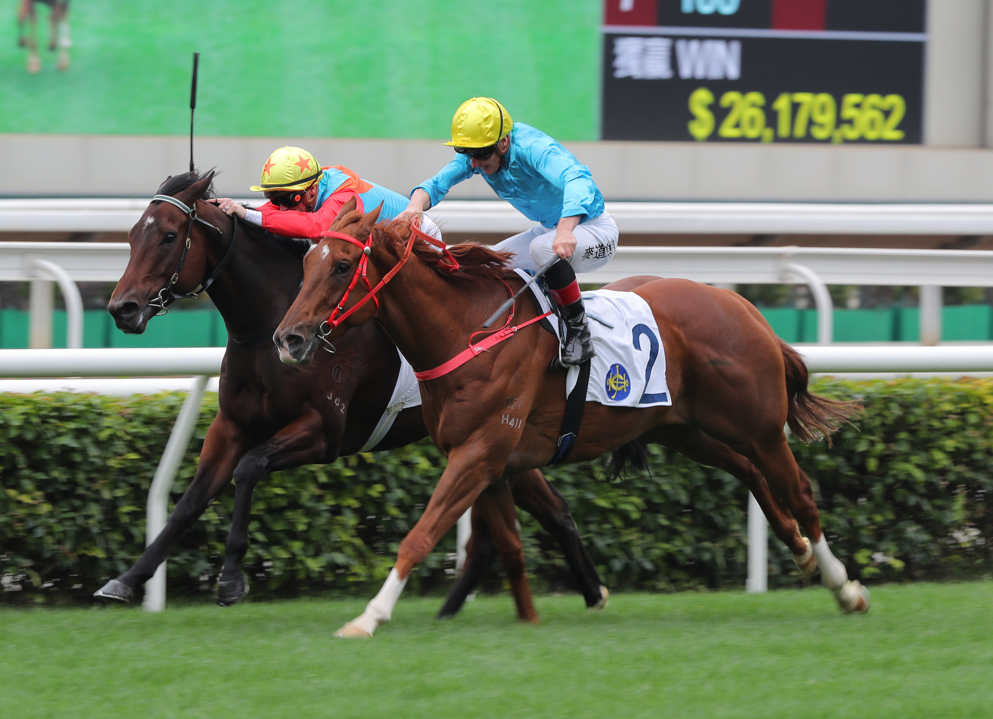 Wunderbar (outside) narrowly gets the better of subsequent Group Three winner Ka Ying Rising at Sha Tin last season. Wunderbar (outside) narrowly gets the better of subsequent Group Three winner Ka Ying Rising at Sha Tin last season.