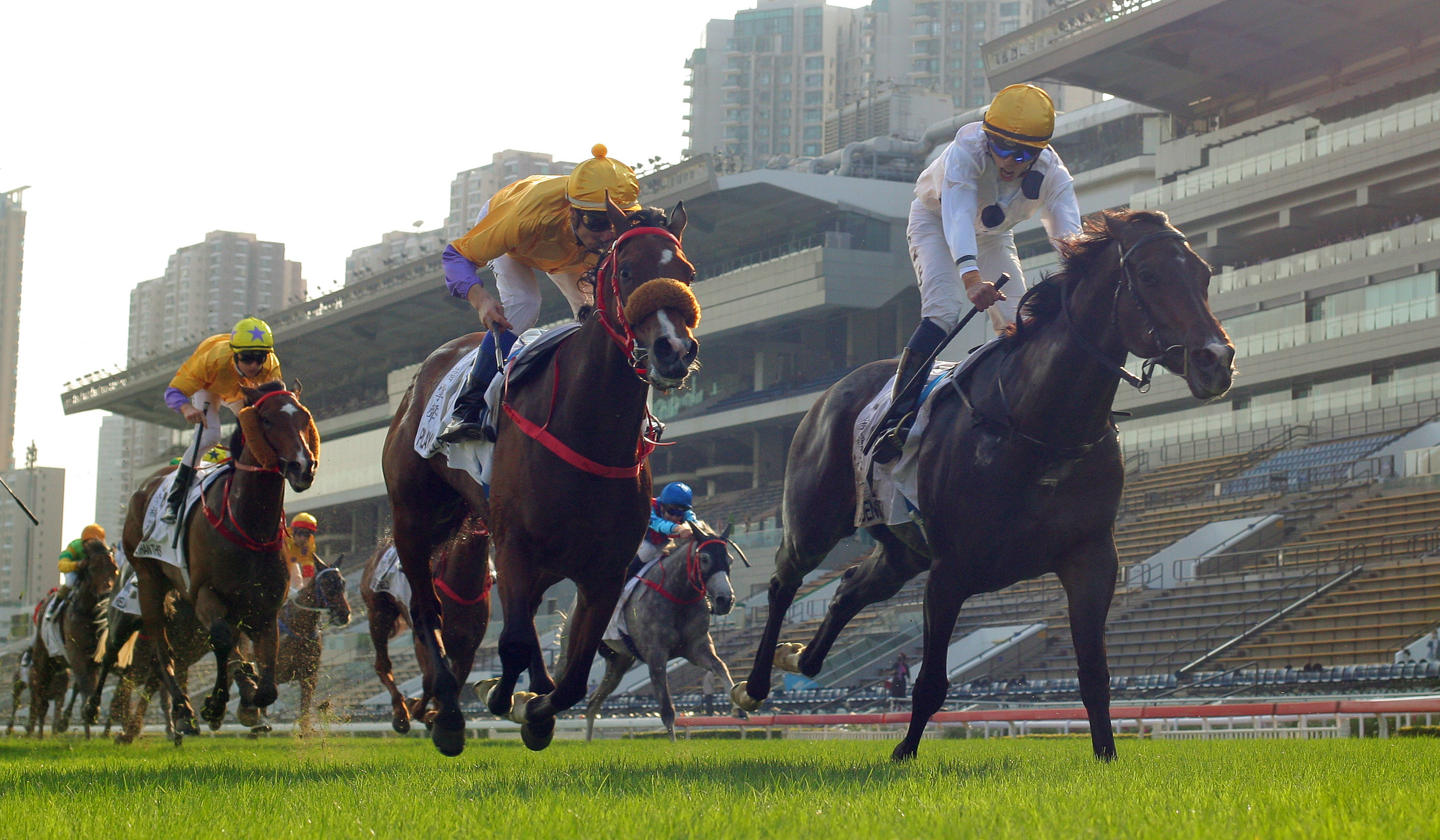 Golden Sixty (right) grabs Hong Kong Derby victory in the final strides. Photo: Kenneth Chan