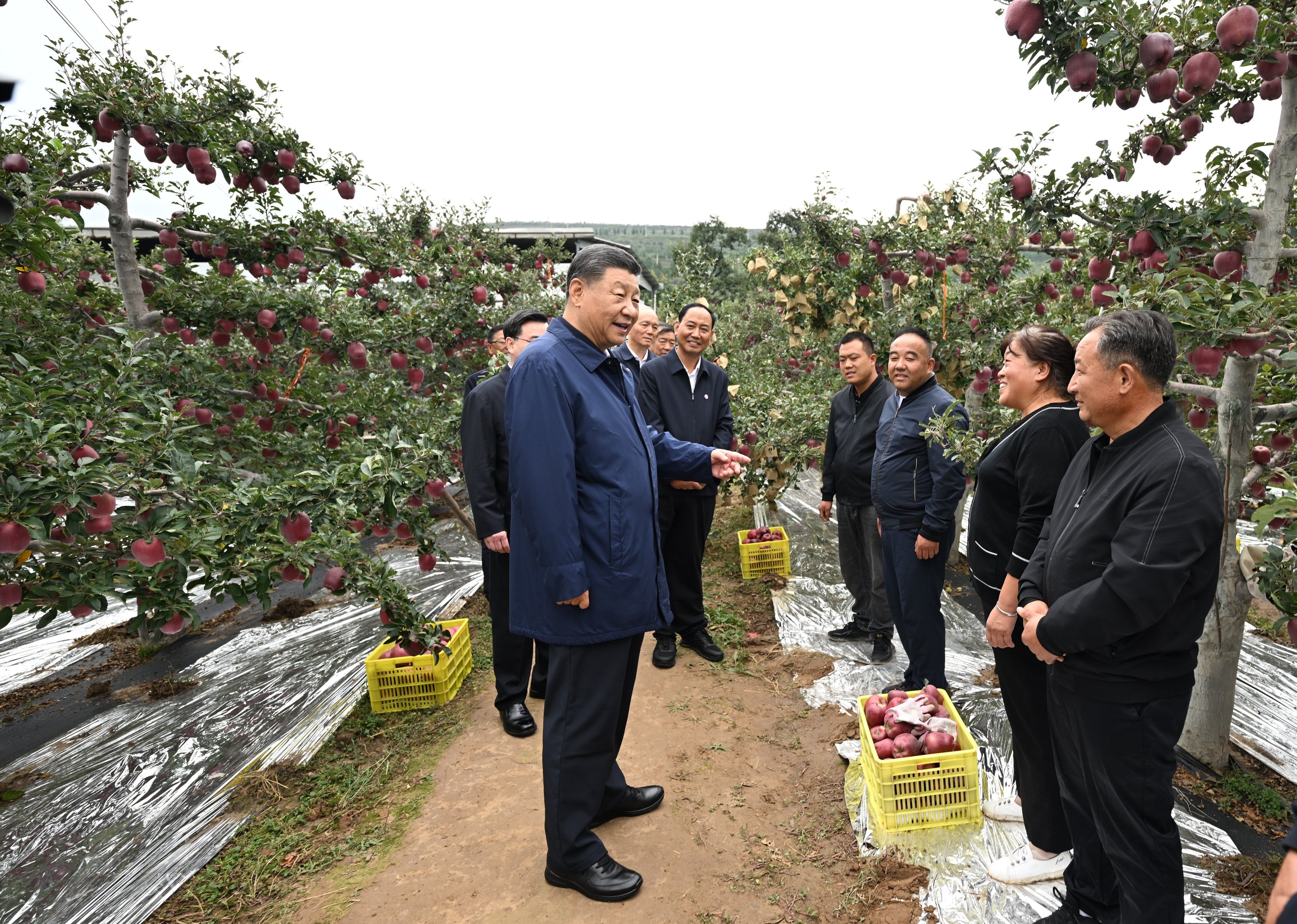 President Xi Jinping visits a local apple production base to learn about the development of the modern specialty fruit industry in mountainous areas in Tianshui, northwest China’s Gansu province. Photo: Xinhua