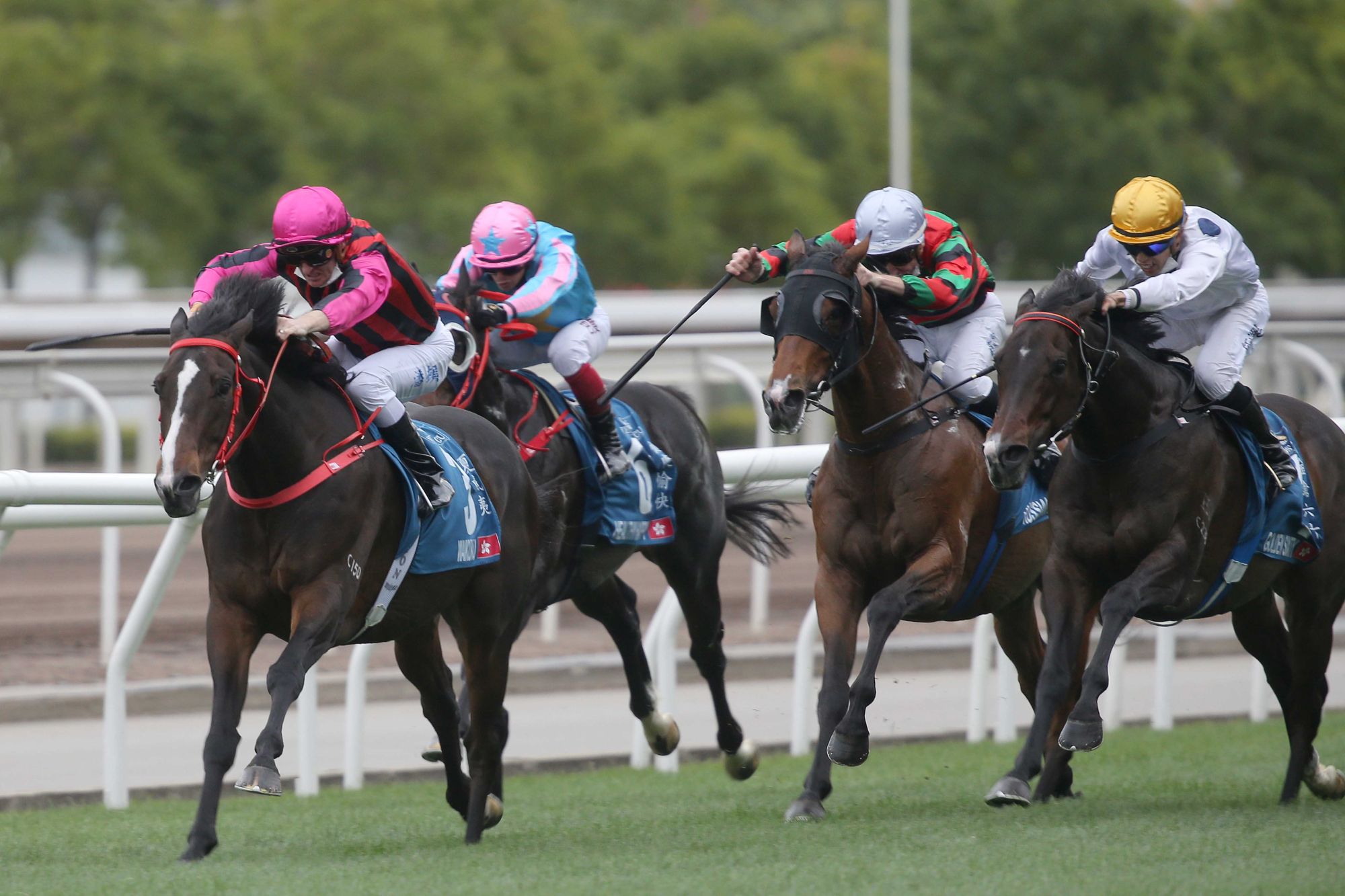 Zac Purton guides Waikuku (inside) to victory over Golden Sixty (outside).