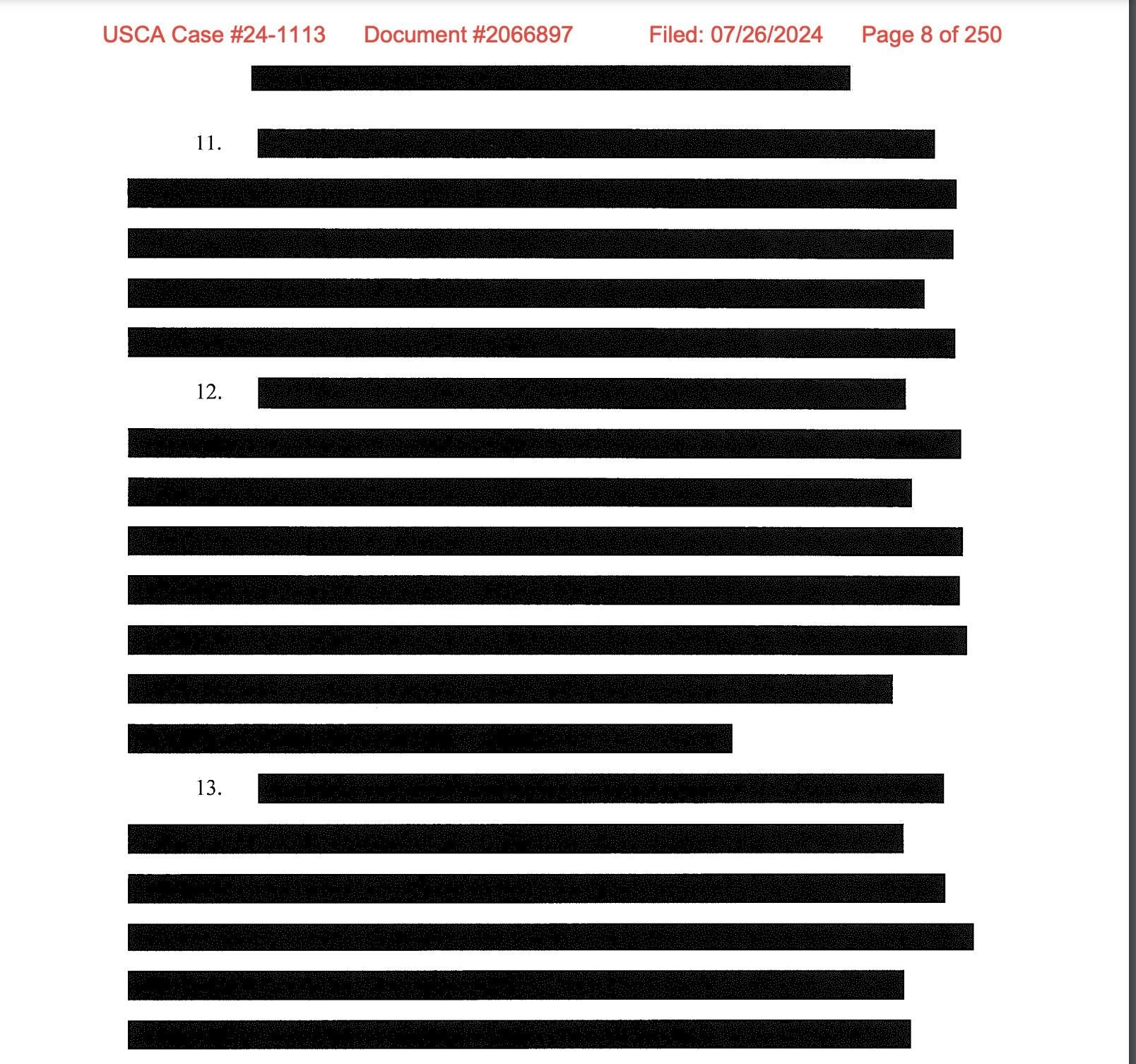 A redacted passage from a court filing in TikTok’s legal challenge to a US law that forces it to divest from its Chinese owner or be banned stateside. Photo: Handout