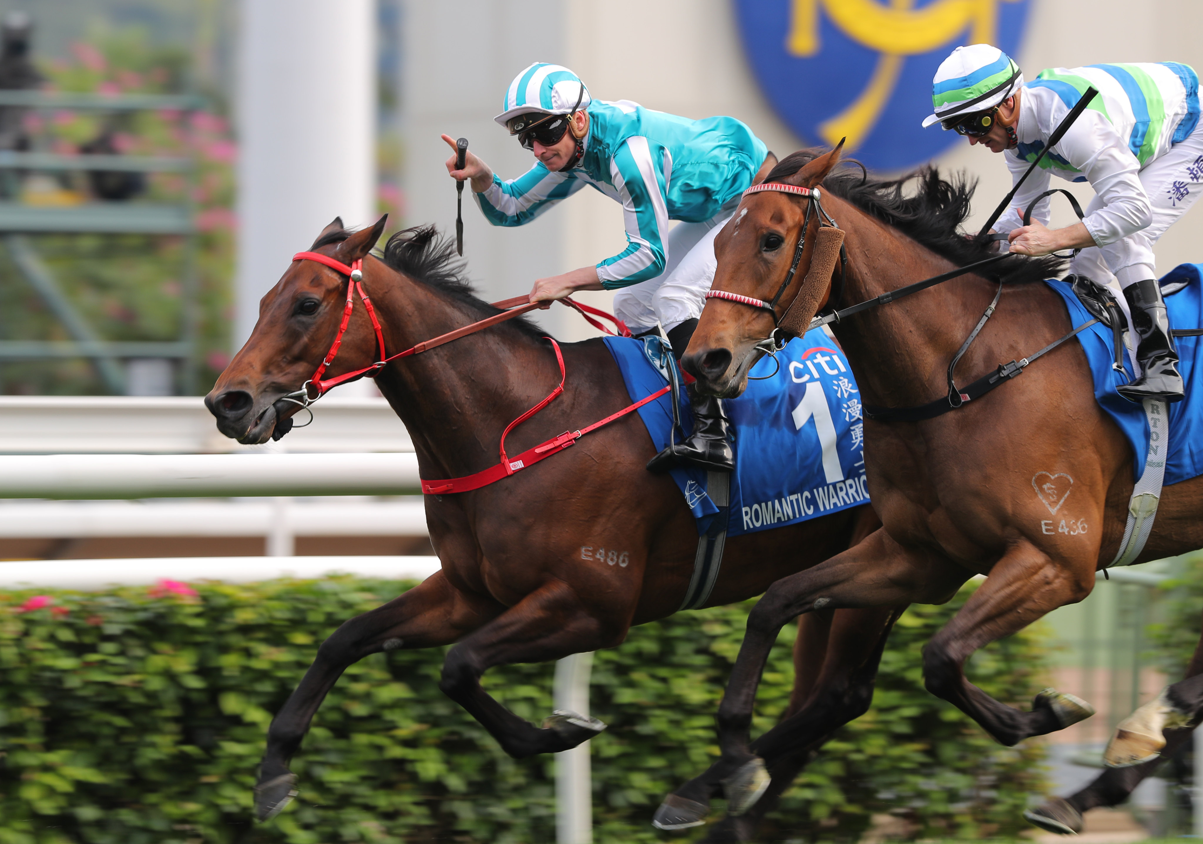 Romantic Warrior wins the Group One Gold Cup (2,000m) in February. Photos: Kenneth Chan