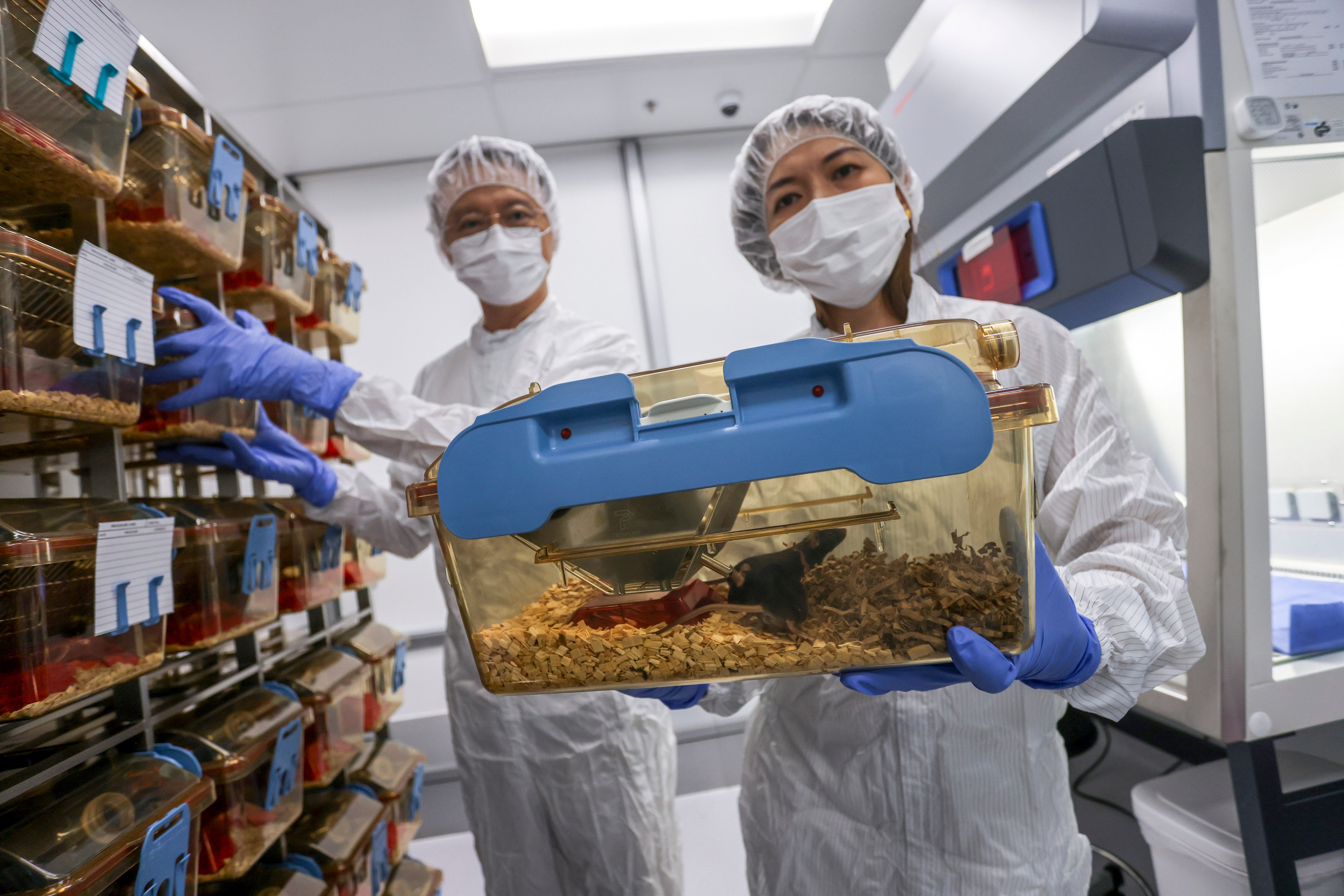 Professor Francis Chan (left) and Professor Siew Ng Chien at the gnotobiotic facility. Photo: Jonathan Wong