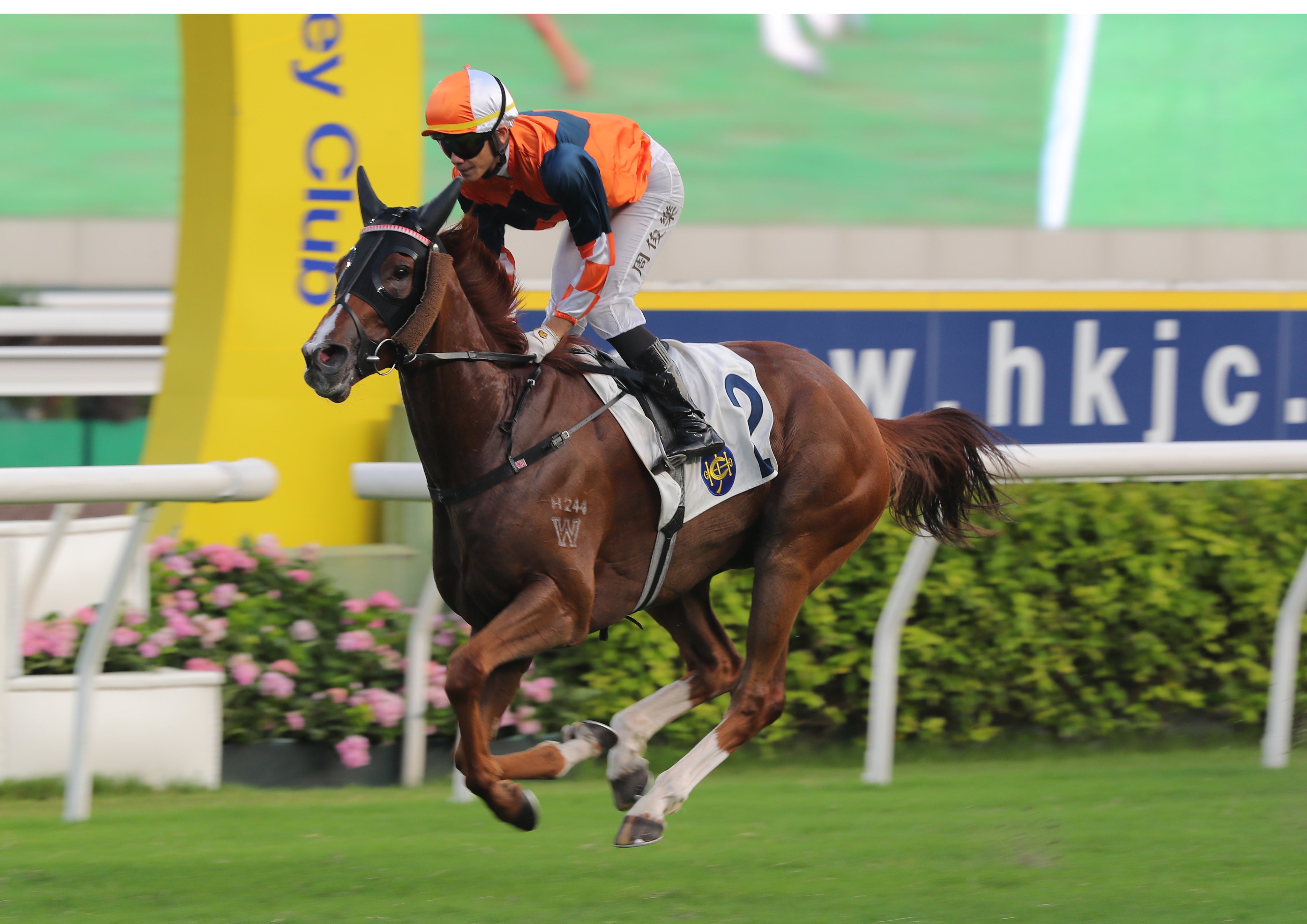 Sunlight Power breezes to victory under Jerry Chau at Sha Tin on Sunday. Photos: Kenneth Chan