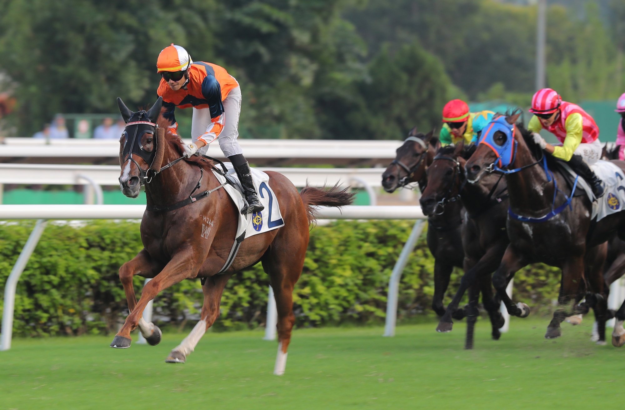 Veteran trainer Ricky Yiu has high hopes for Sunlight Power.