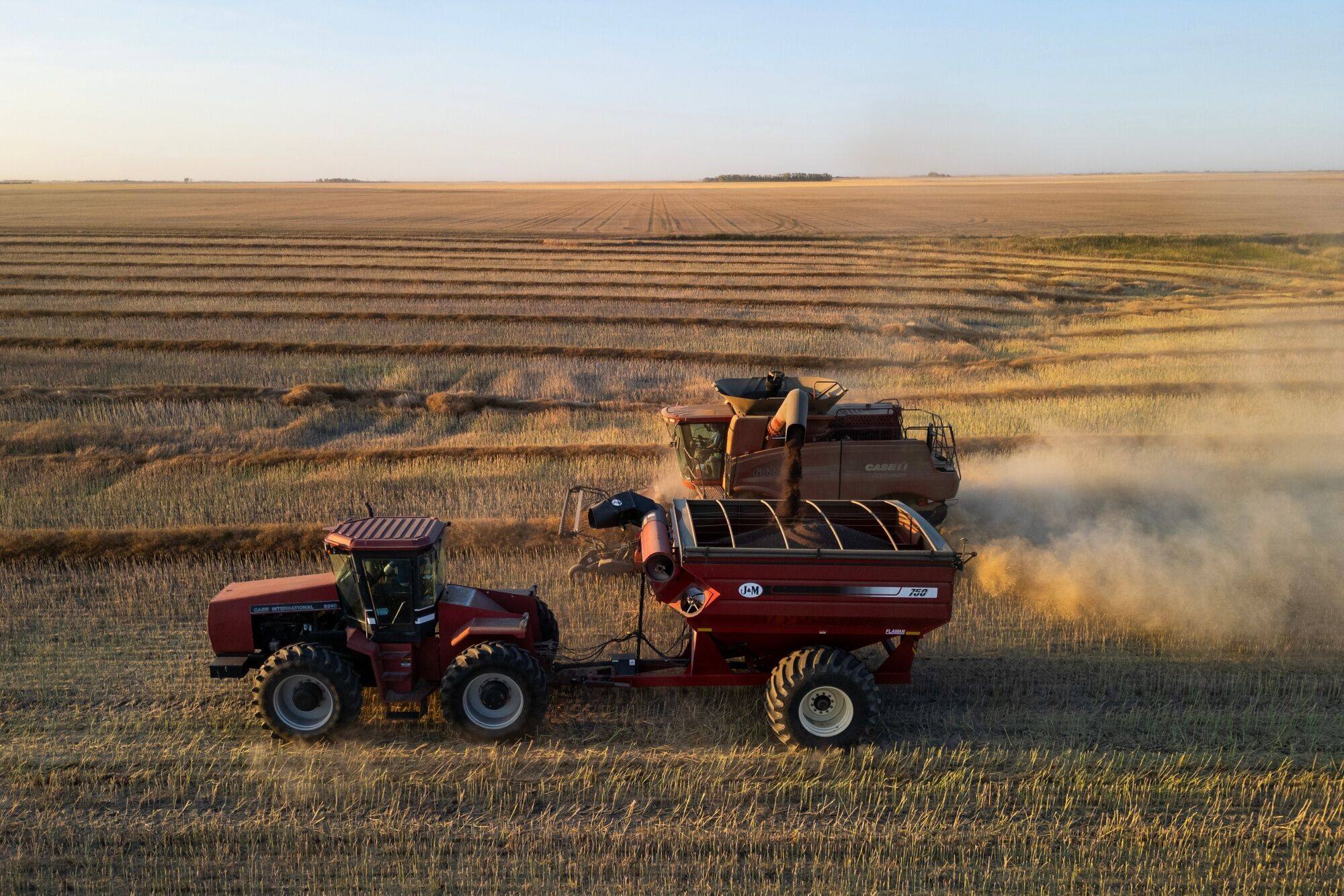 A farmer collects grain during a canola harvest on a farm near Brora, Saskatchewan, Canada, on September 8, 2024. Photo: Bloomberg