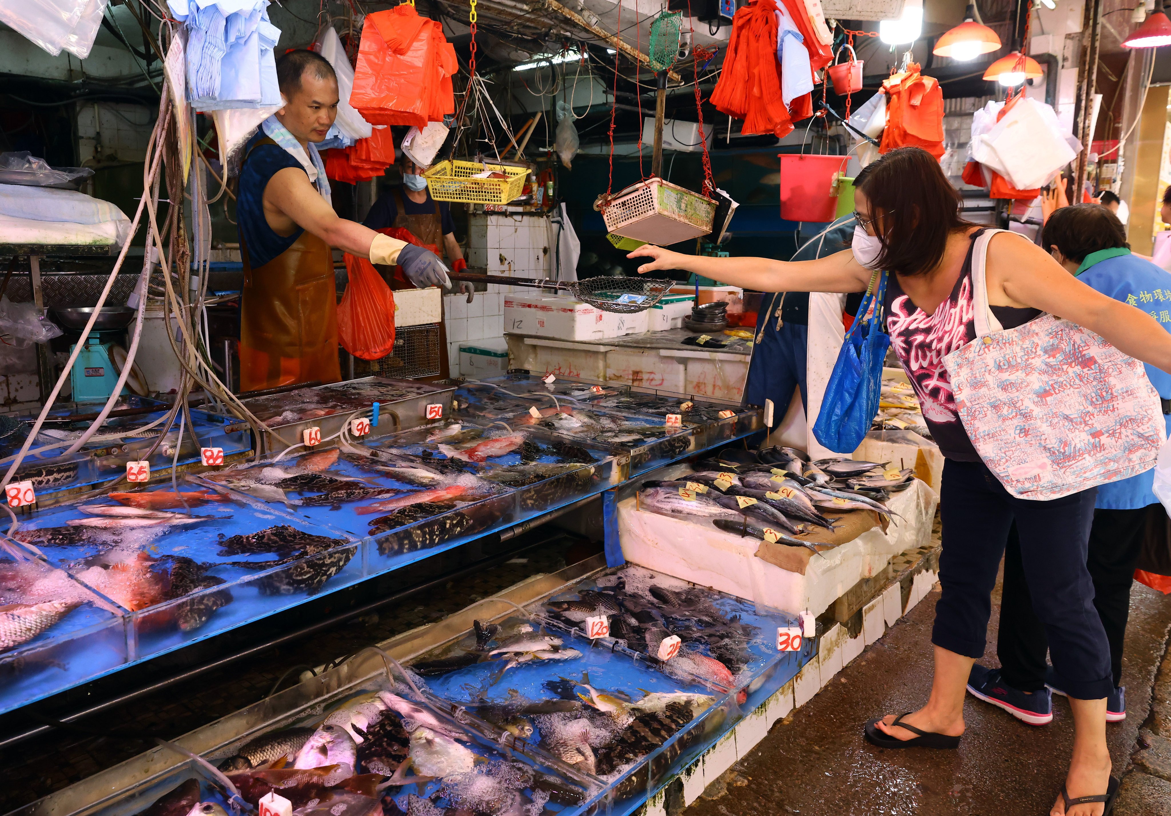 Members of the public should wear gloves when touching or handling raw freshwater fish, the Centre for Health Protection says. Photo: Dickson Lee