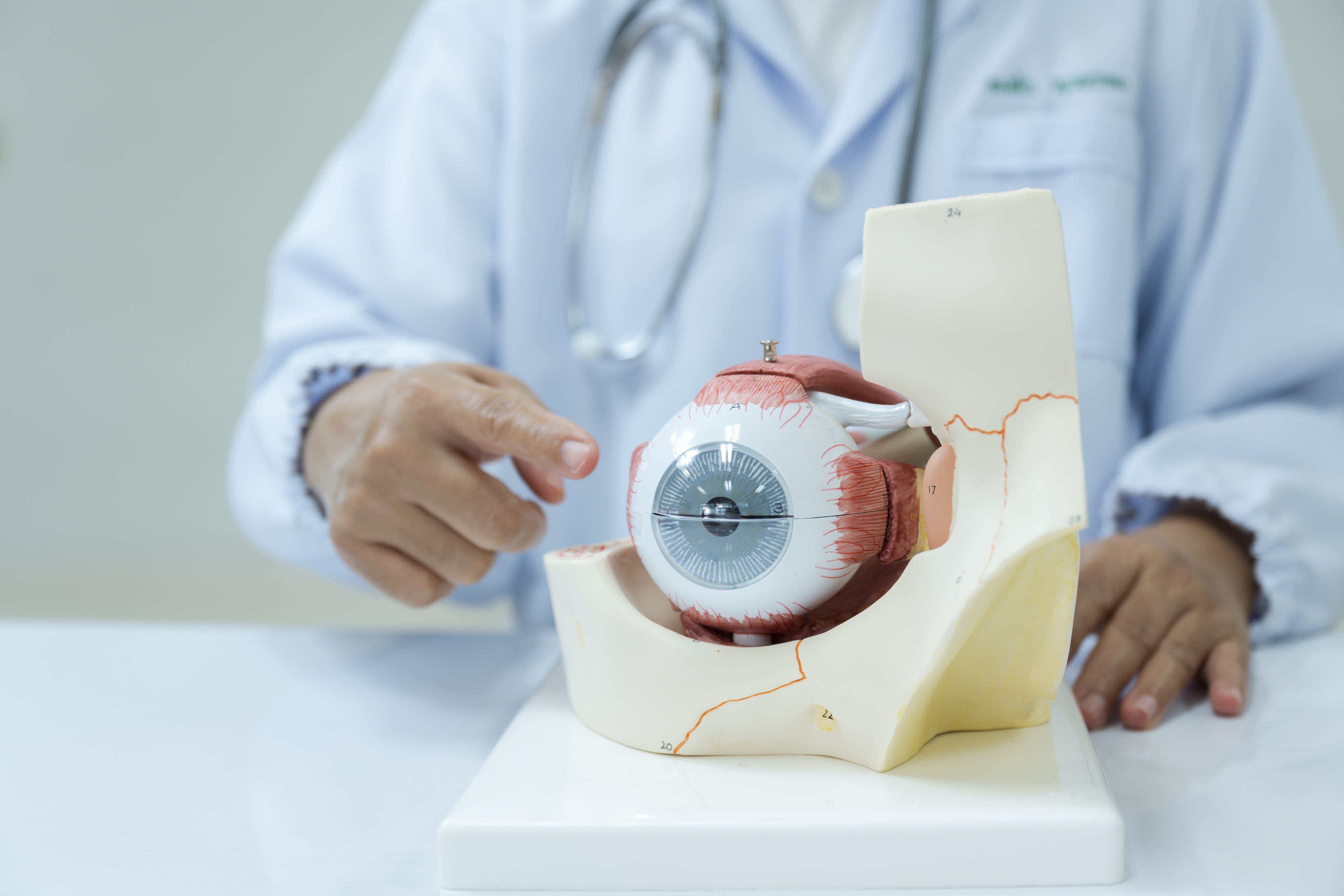 Your eyes are windows into your physical and mental health, and an eye test can reveals symptoms of multiple conditions, from high blood pressure to diabetes and dementia. Photo: Shutterstock