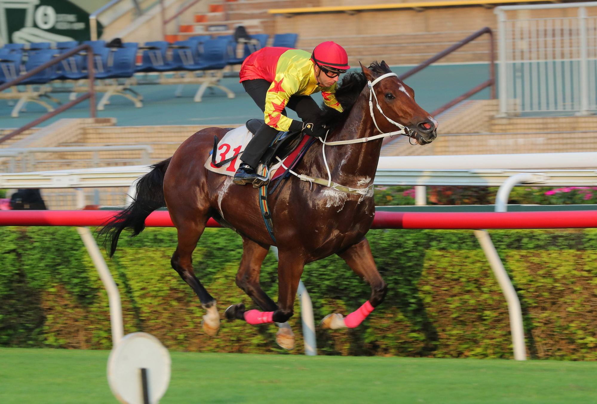 California Spangle wins a Sha Tin trial under Brenton Avdulla.