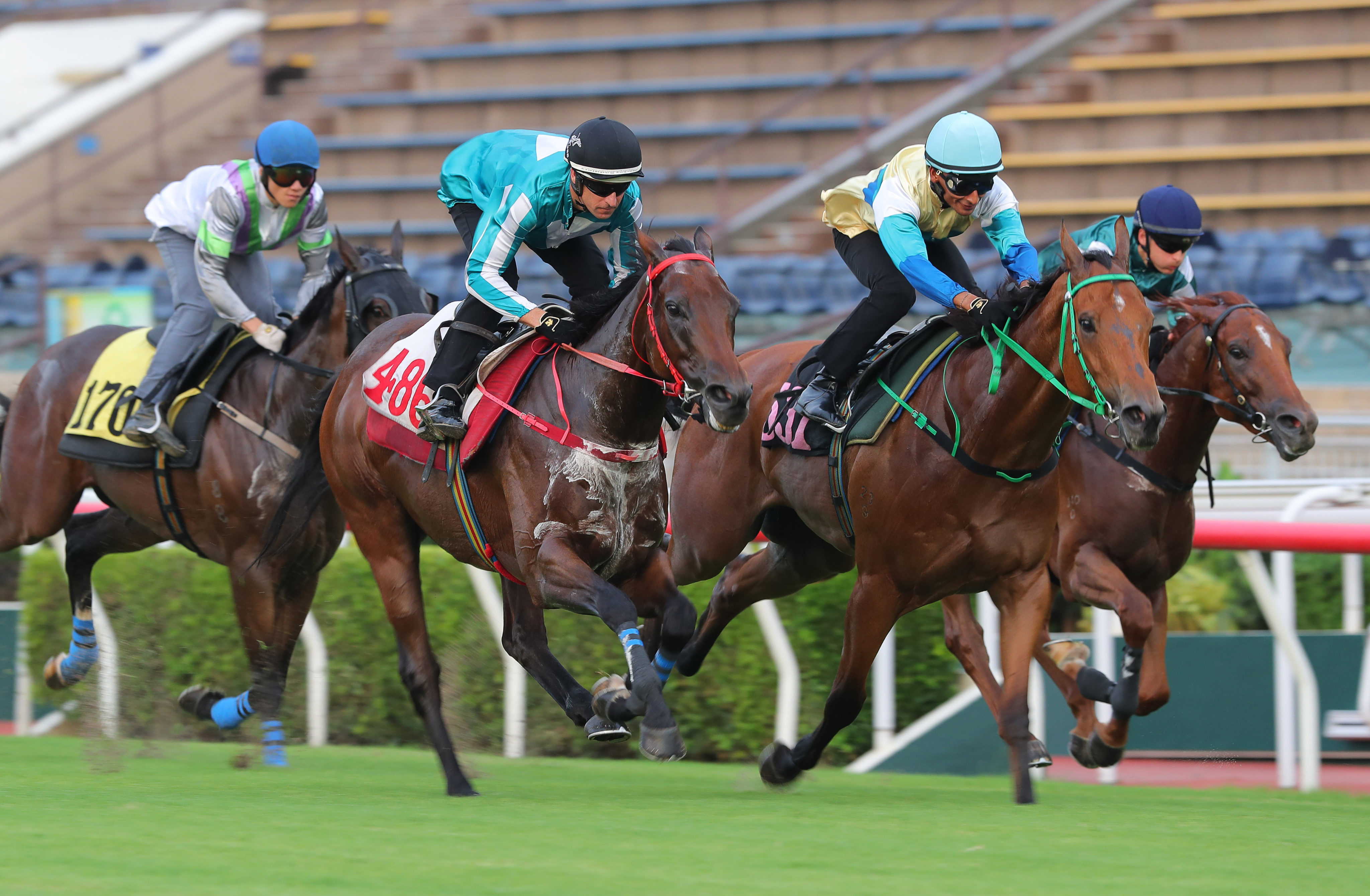 Romantic Warrior (second from left) runs a close second to Wonderstar in a Sha Tin trial. Photos: Kenneth Chan