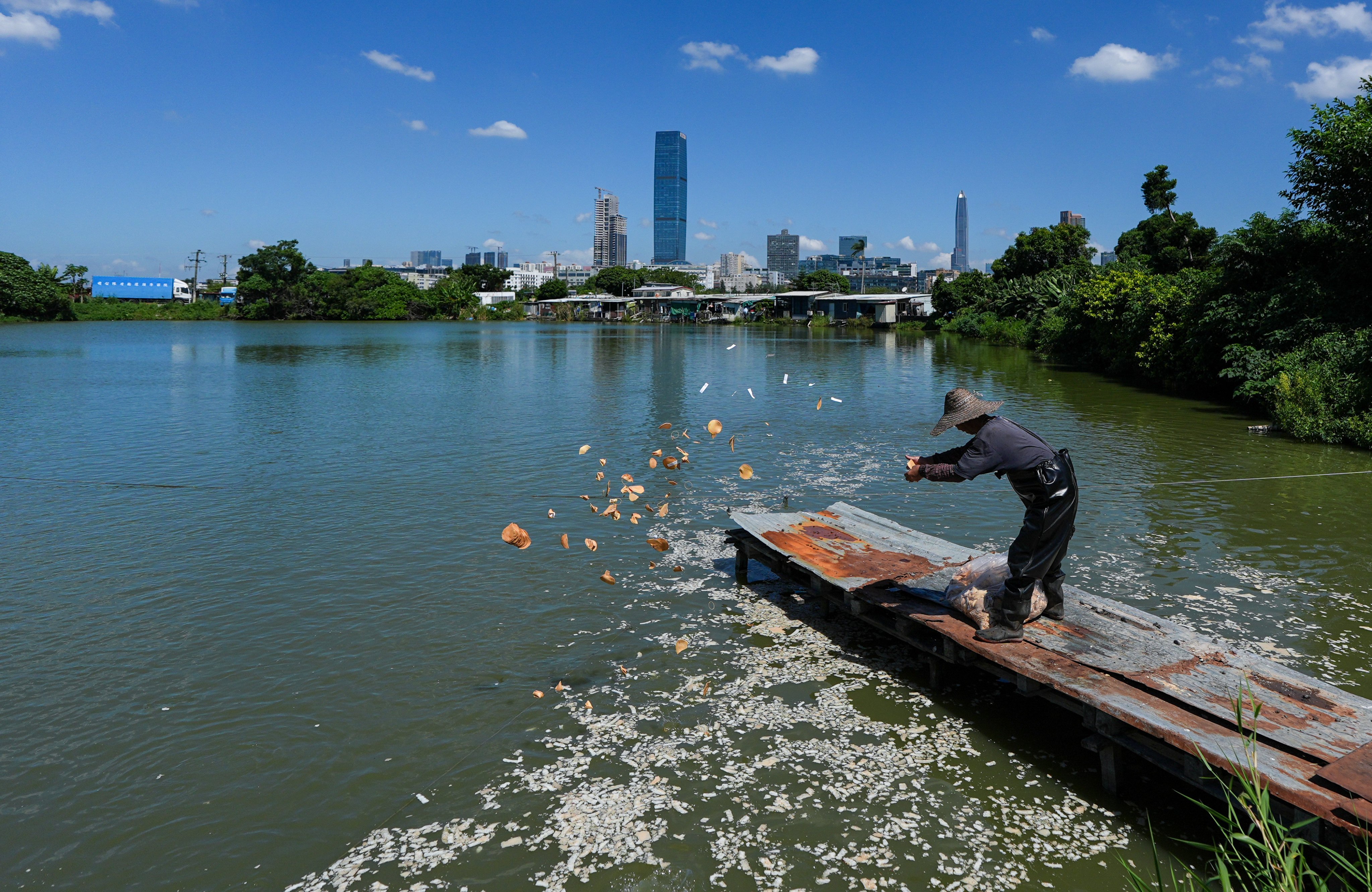 A fish farm in Hong Kong’s Mai Po. Health authorities are also in contact with officials in mainland China about the outbreak. Photo: Eugene Lee