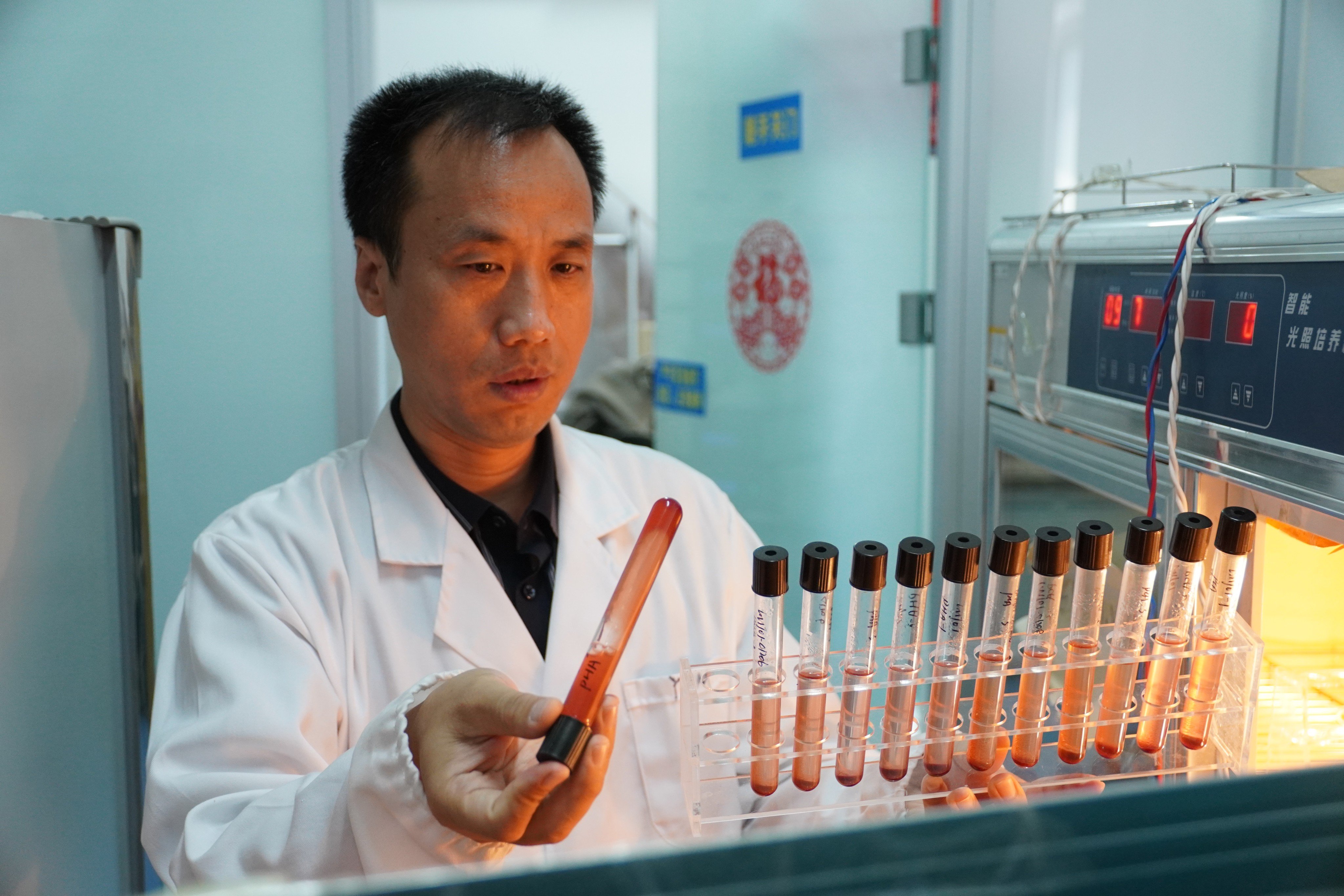 Yang Jianming, who led the research team at Qingdao Agricultural University, says their breakthrough has the advantage of being a simple, low-cost and environmentally friendly way of producing lycopene. Photo: Handout