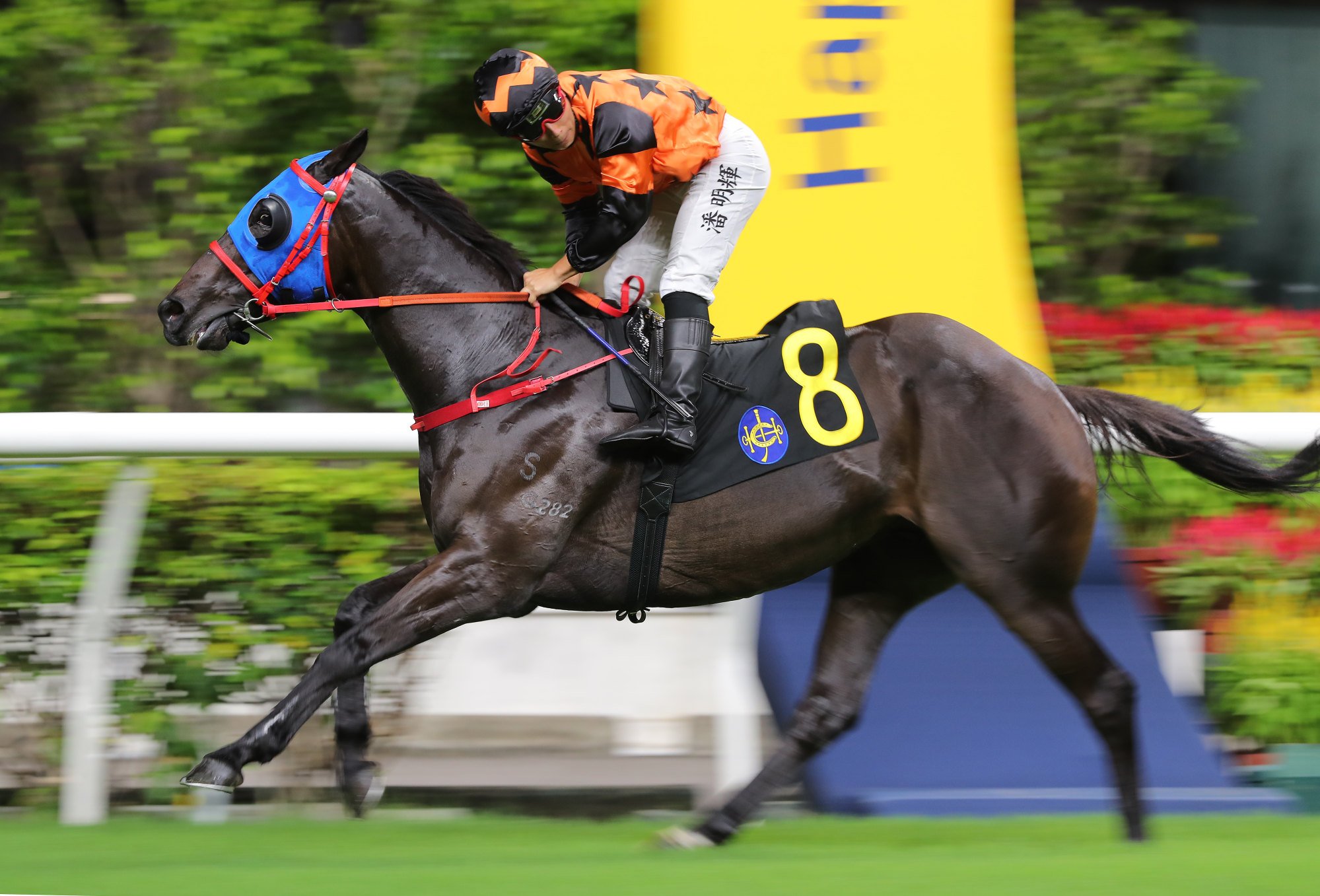 Matthew Poon boots Viva A La home at Happy Valley.