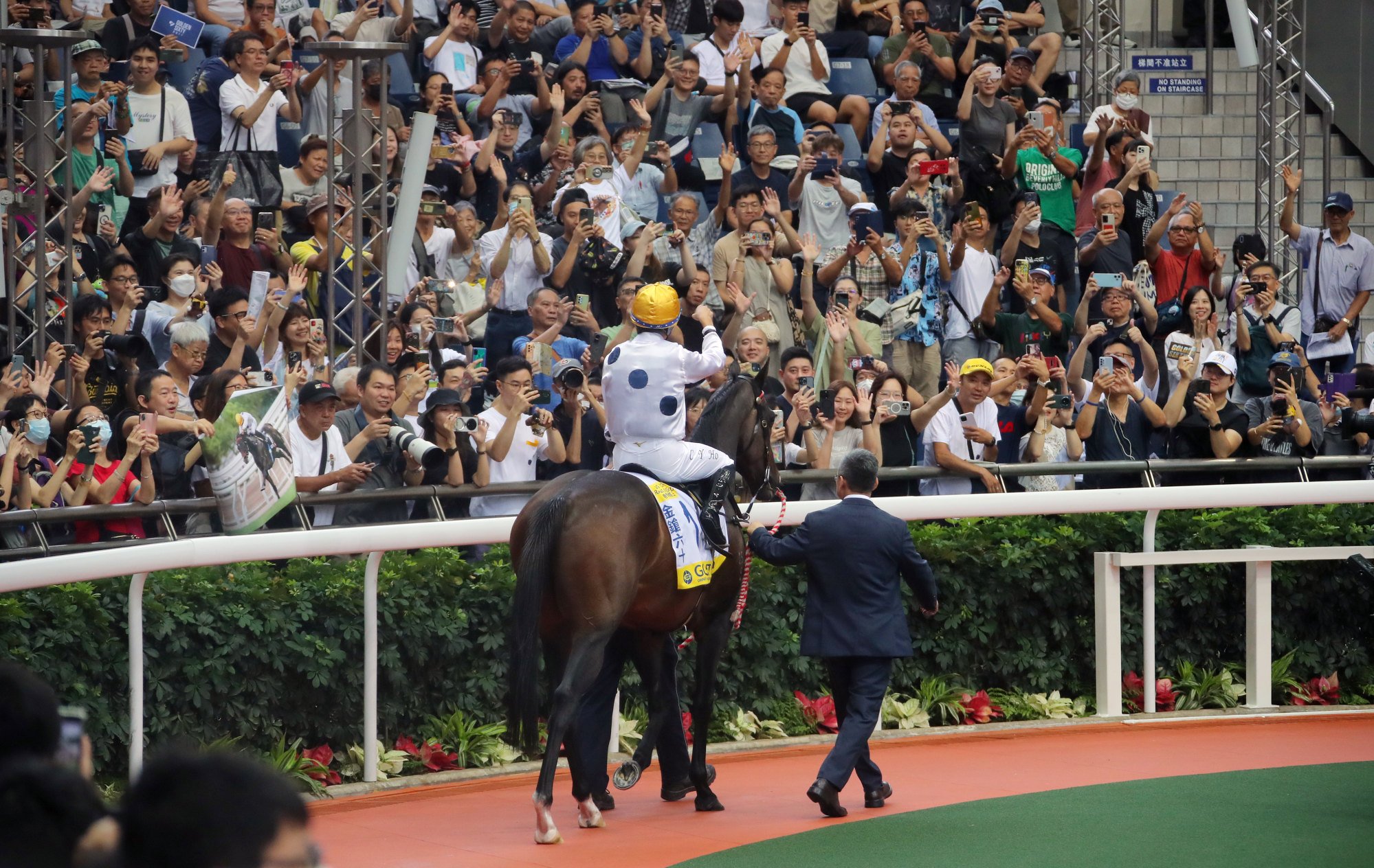 Golden Sixty parades around the Sha Tin parade ring for the final time.