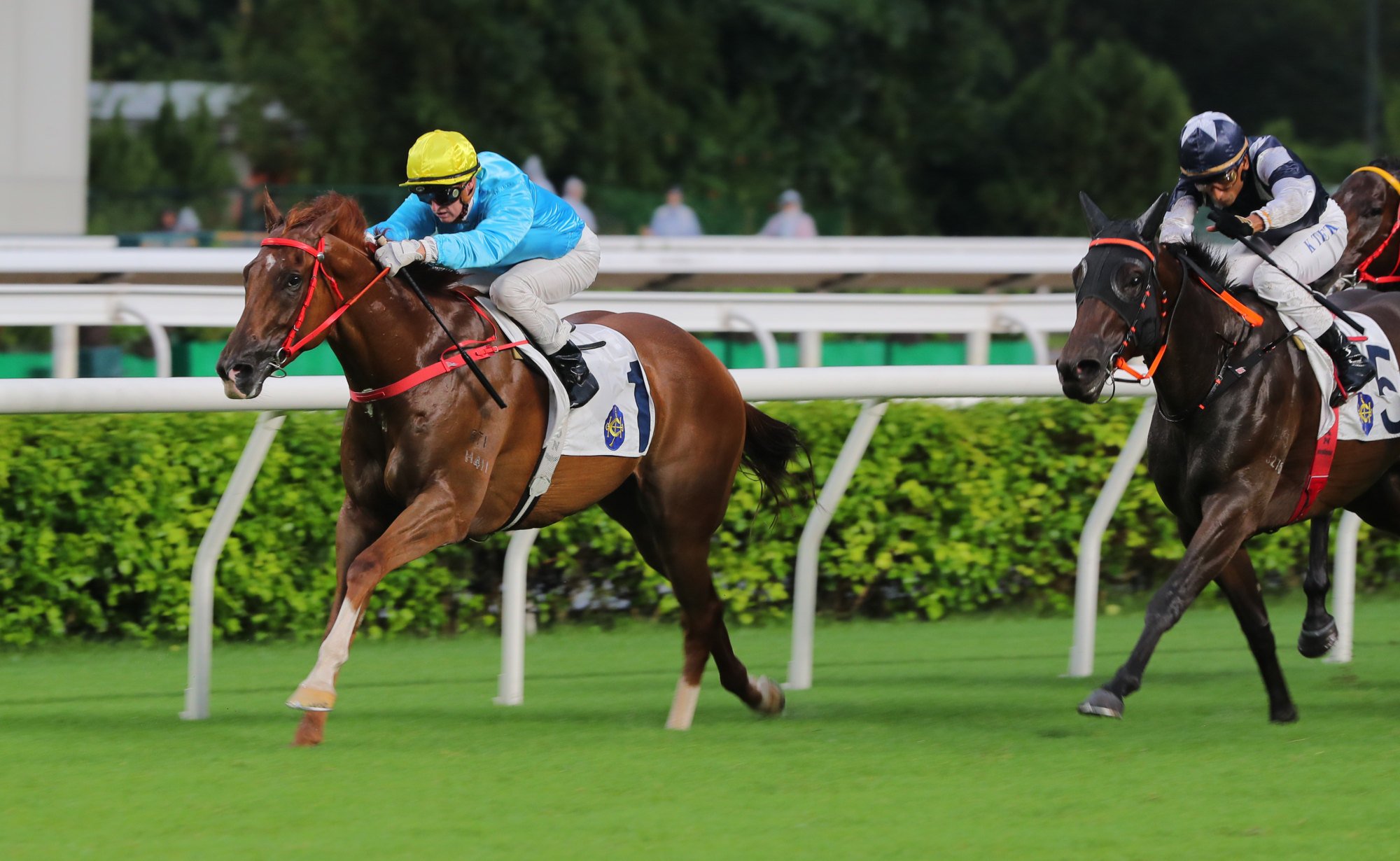 Wunderbar (left) kicks clear of Lucy In The Sky.