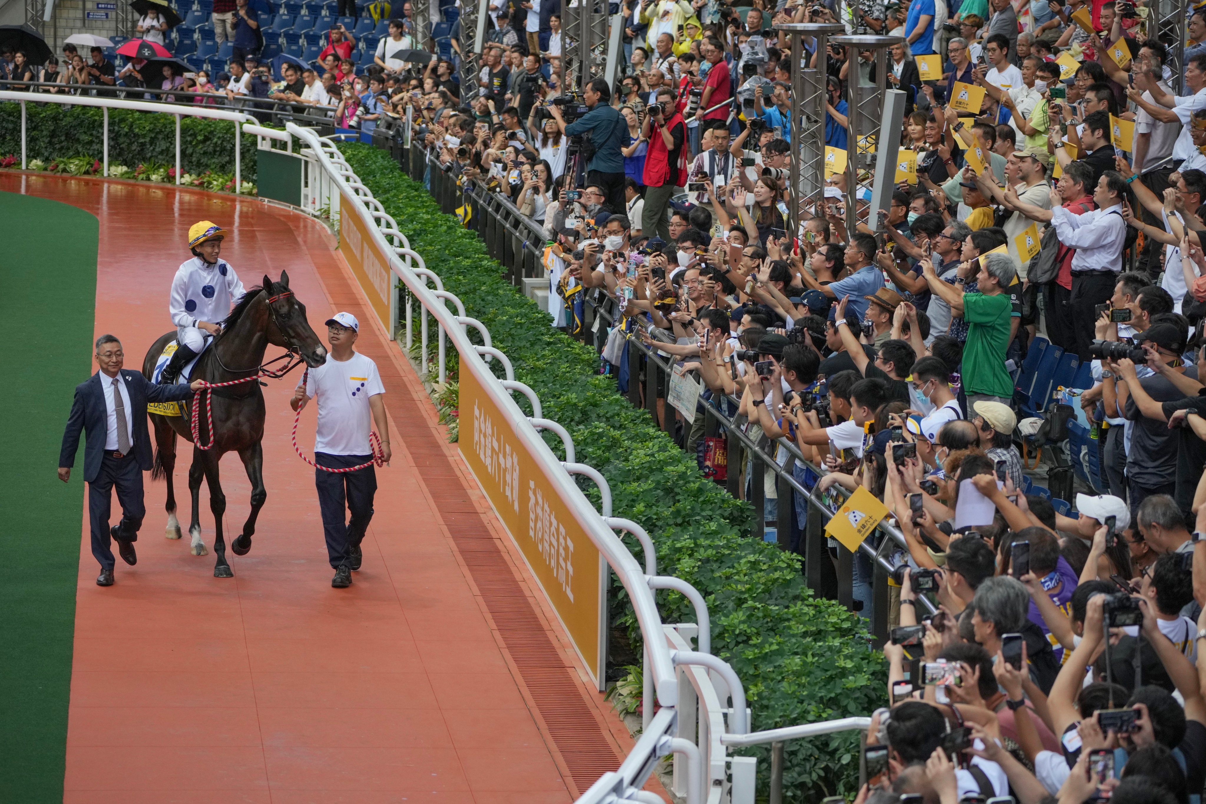 Golden Sixty bids farewell at Sha Tin on Sunday. Photos: May Tse and Kenneth Chan