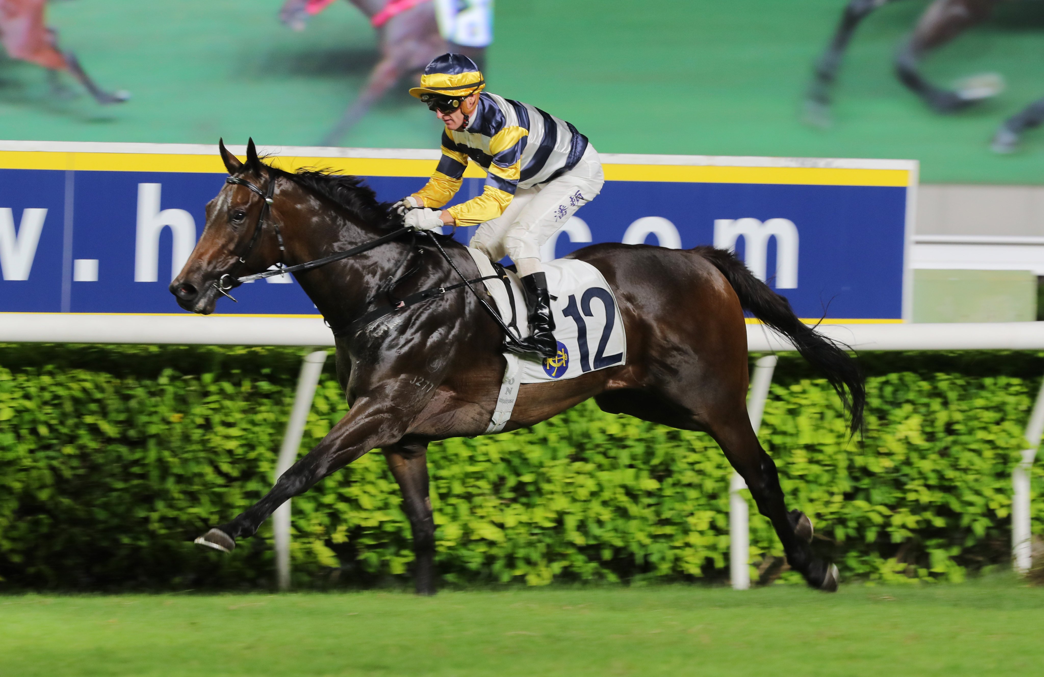 Packing Hermod bolts in at Sha Tin in July under Zac Purton. Photos: Kenneth Chan