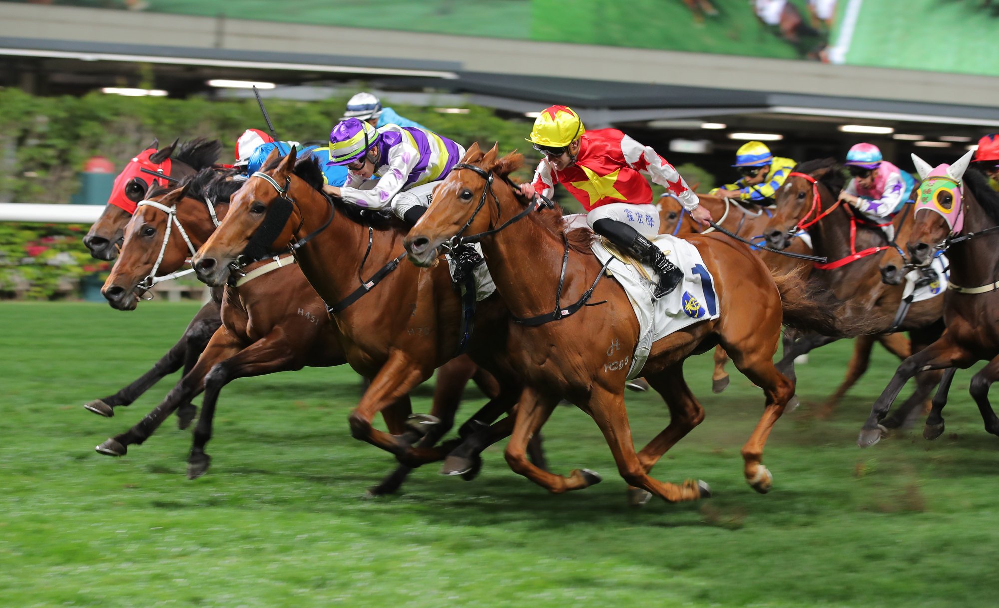 Samarkand bursts through the middle of the field to win at Happy Valley in March.