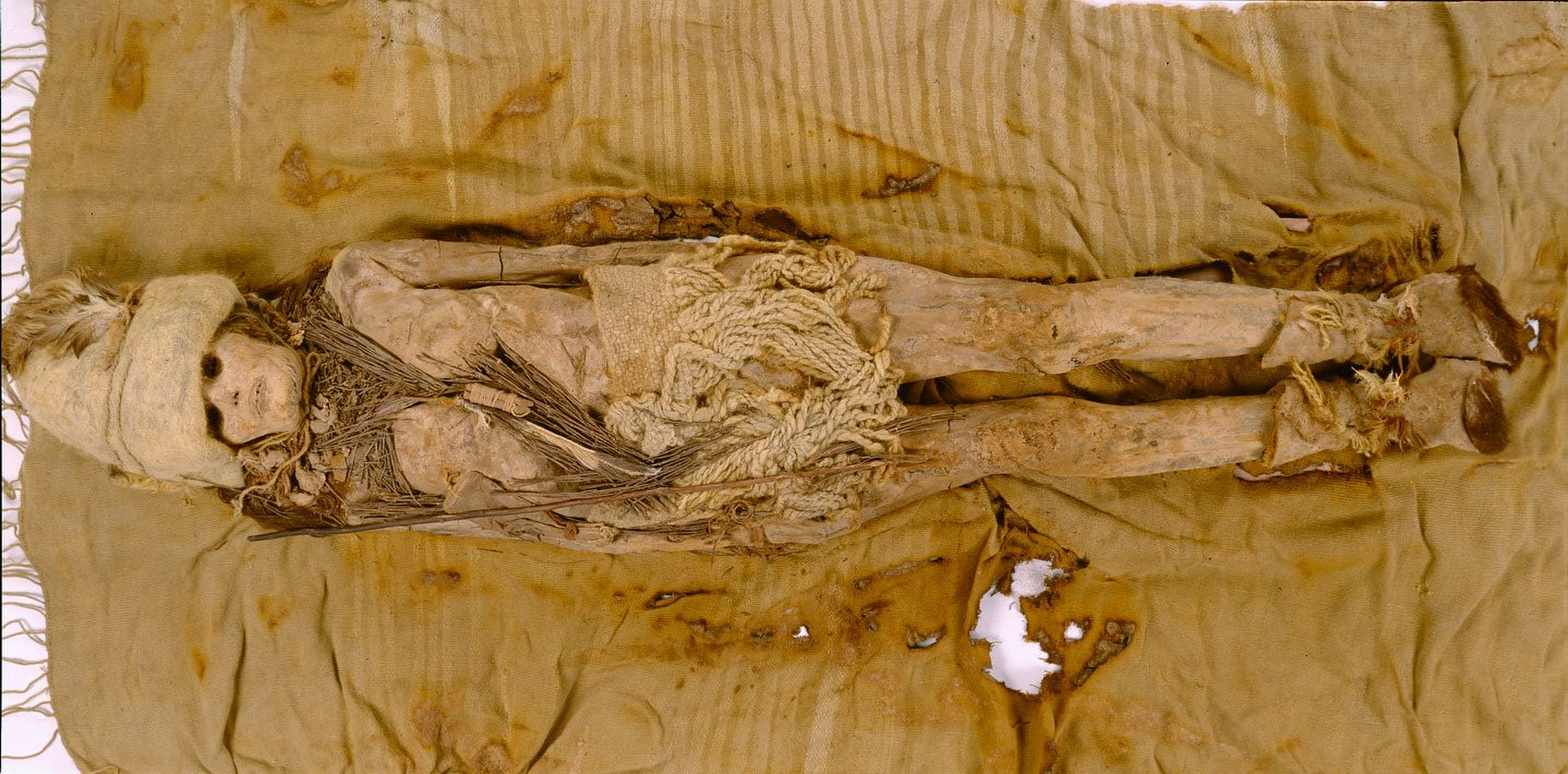 Chinese scientists say a mysterious substance found smeared on the heads and necks of Tarim Basin mummies is a type of soft cheese made from a fermented dairy drink. Photo: Handout / Li Wenying