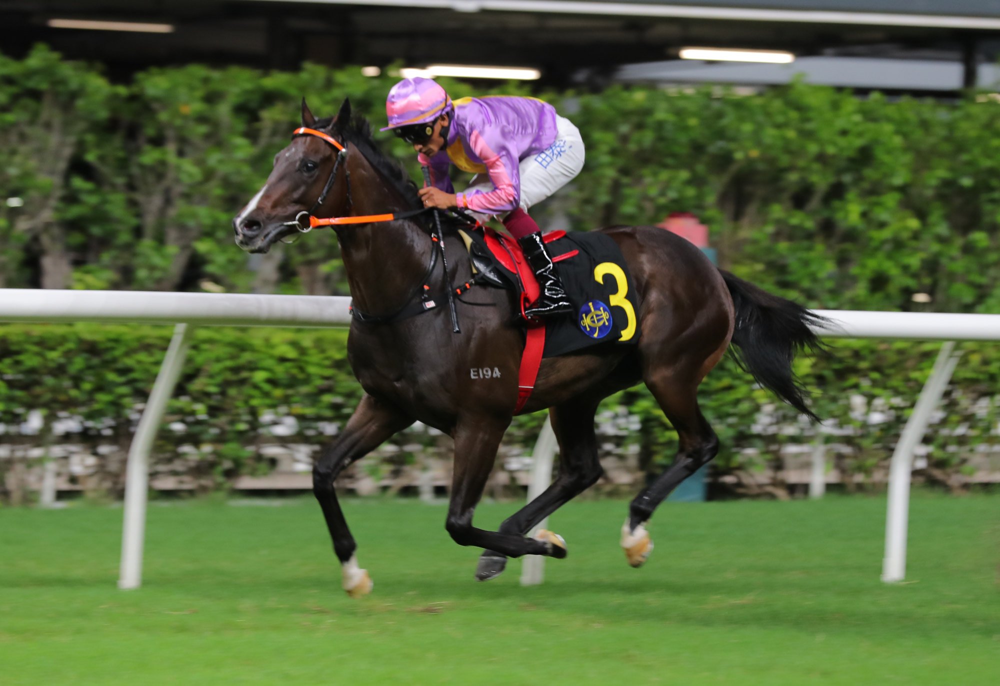 Arthur’s Kingdom salutes under Karis Teetan at Happy Valley on Wednesday night.