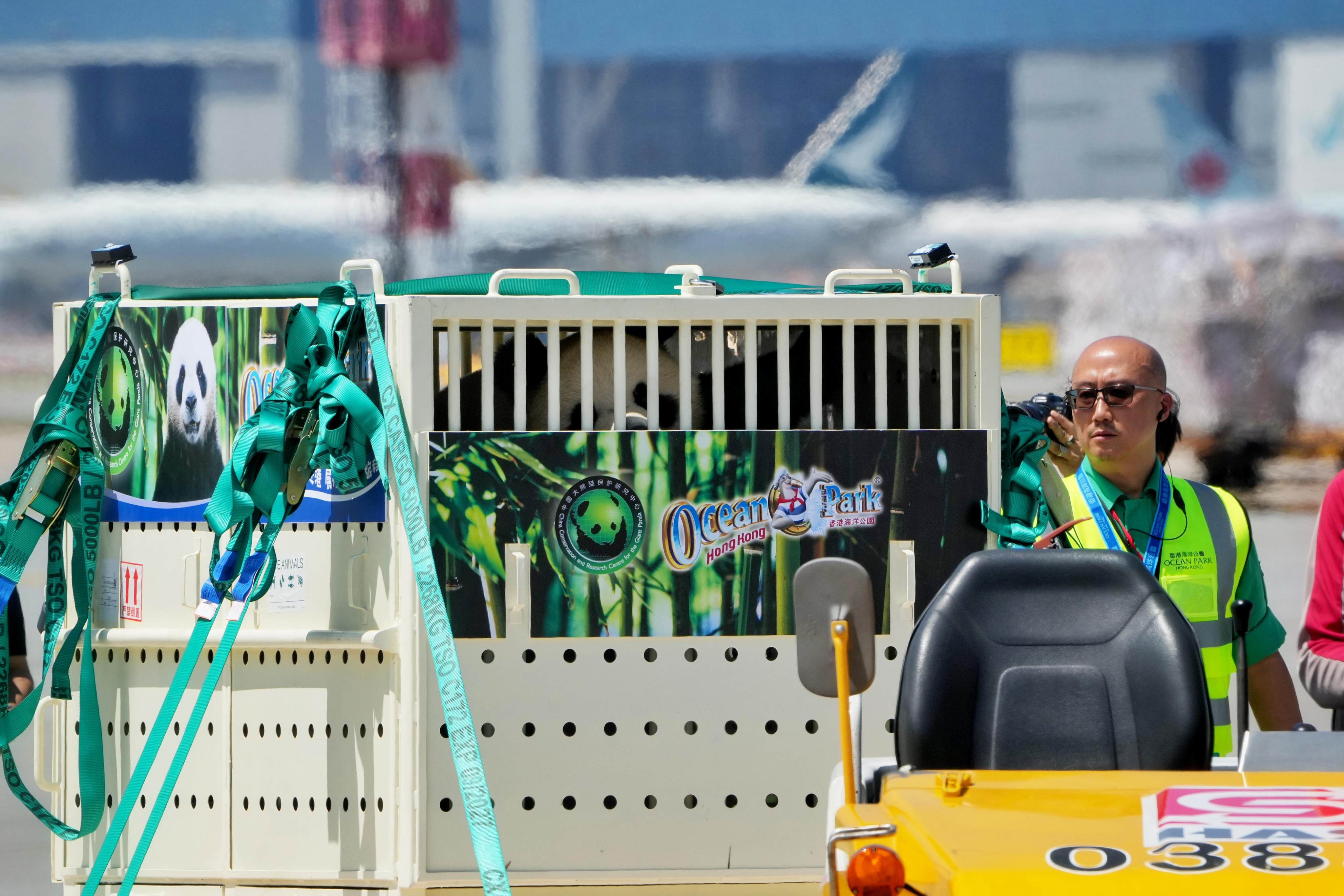 An An and Ke Ke arrive at Hong Kong International Airport. Photo: Elson Li