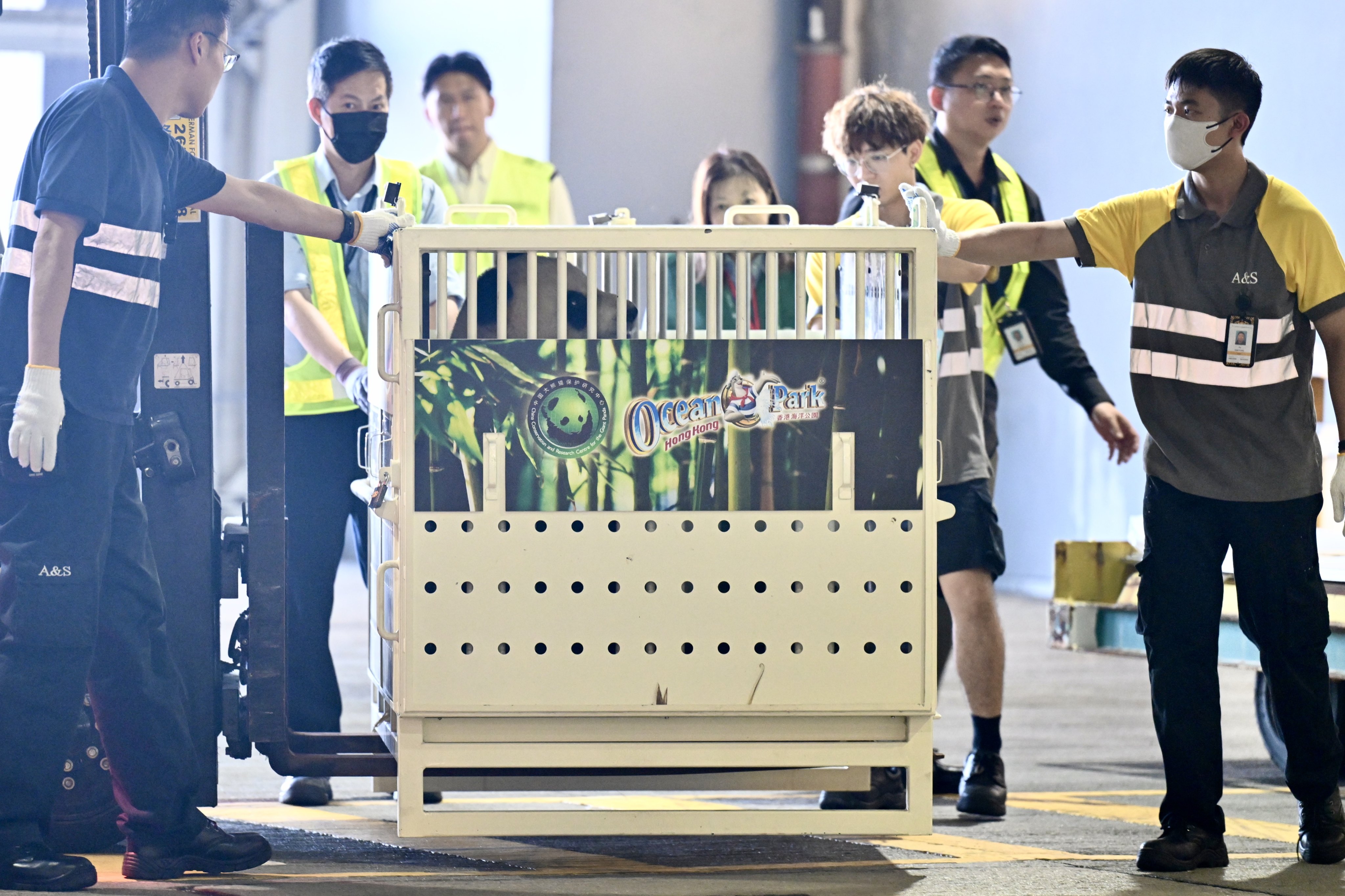 An An and Ke Ke had a 12-hour journey to arrive in Hong Kong. Photo: SCMP