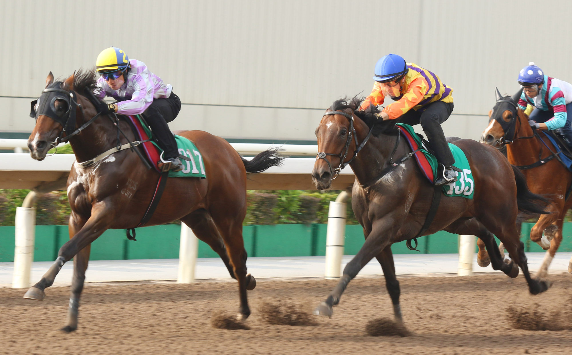 Straight Arron (right) stretches out in a Sha Tin trial on Friday morning.