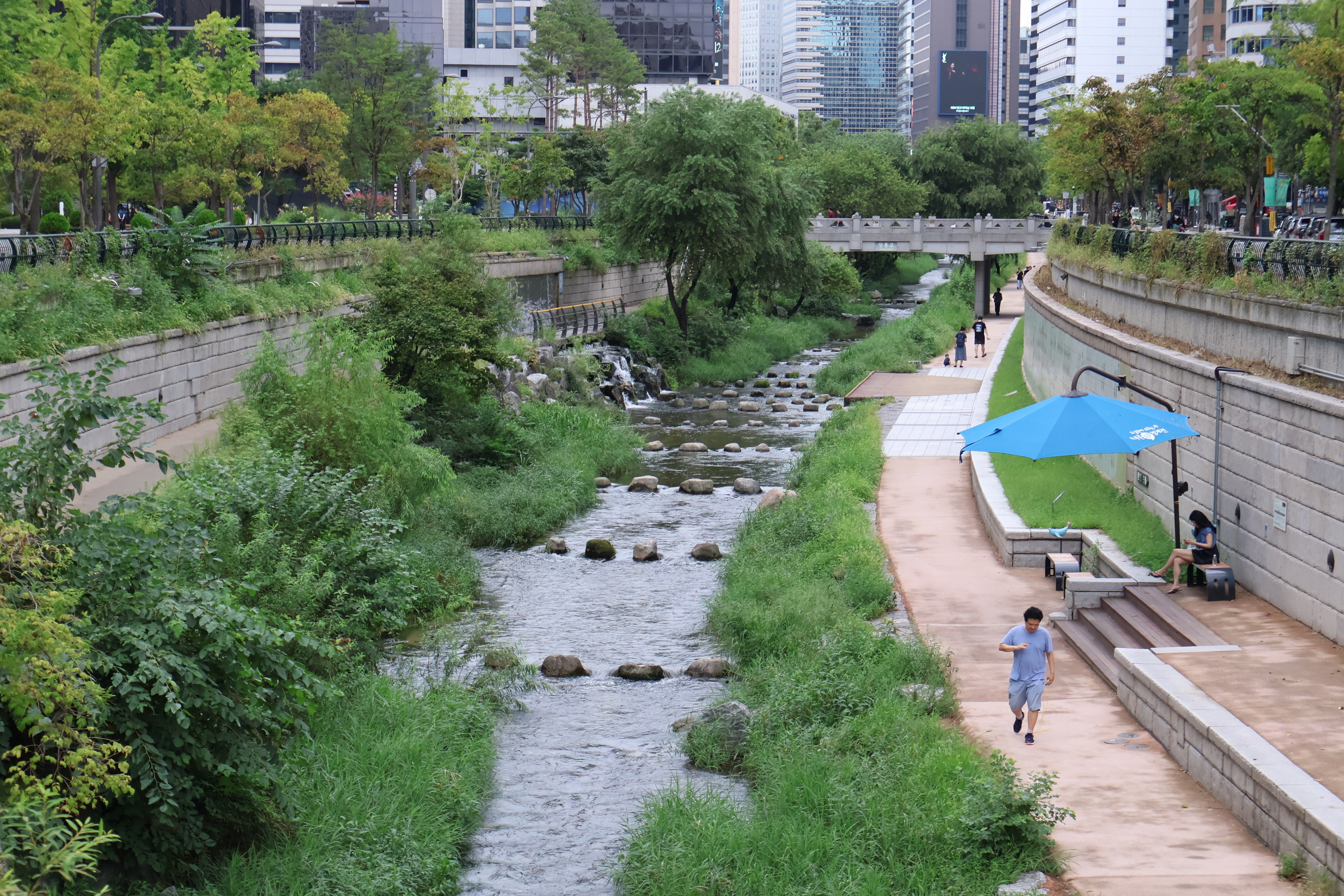 The 10.9 km-long Cheonggyecheon in the heart of Seoul, South Korea, is a popular urban park with a restored stream that previously was a highway. Photo: Donald Low