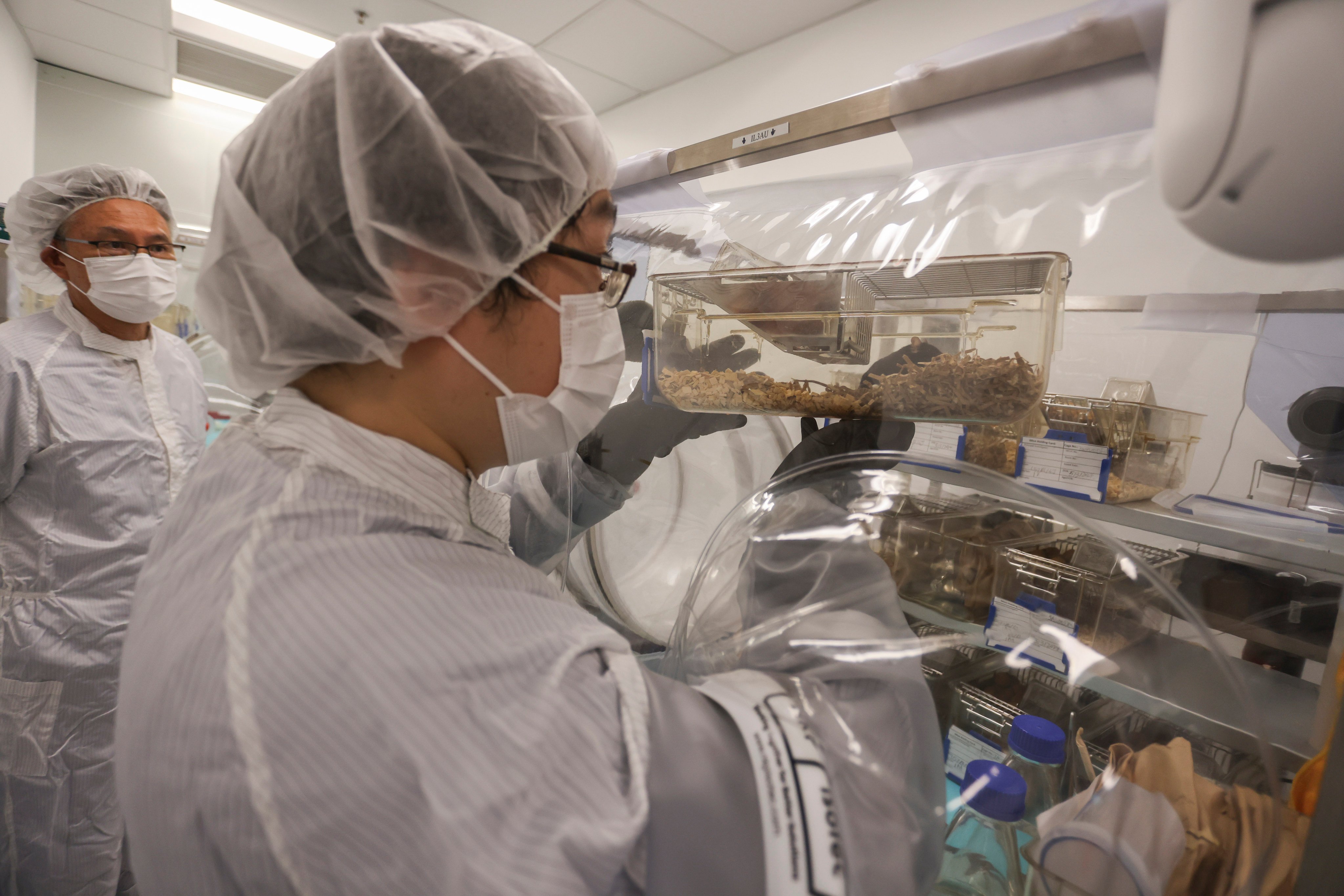 Scientists at a research centre owned by Chinese University of Hong Kong are exploring using bacteria to treat depression, autism and dementia. Photo: Jonathan Wong