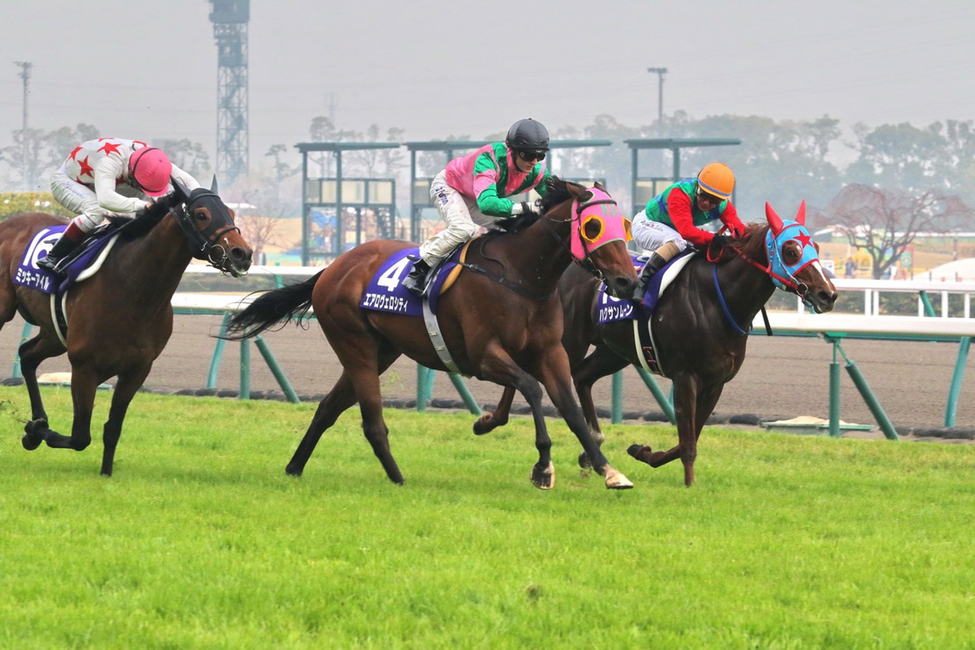 Aerovelocity, ridden by Zac Purton, wins the Takamatsunomiya Kinen for trainer Paul O’Sullivan.